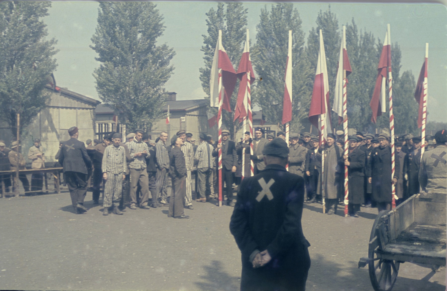 Former prisoners assemble outside for a ceremony with red and white flags in the newly liberated Dachau concentration camp.