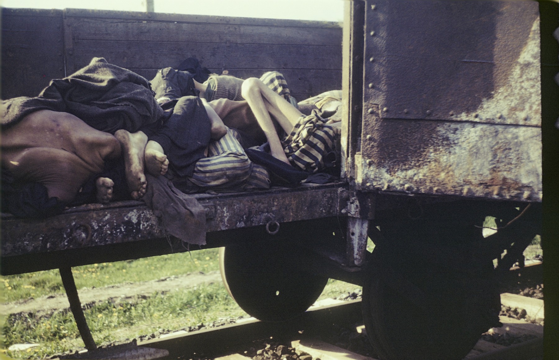 Corpses lie in an open railcar of the Dachau death train.