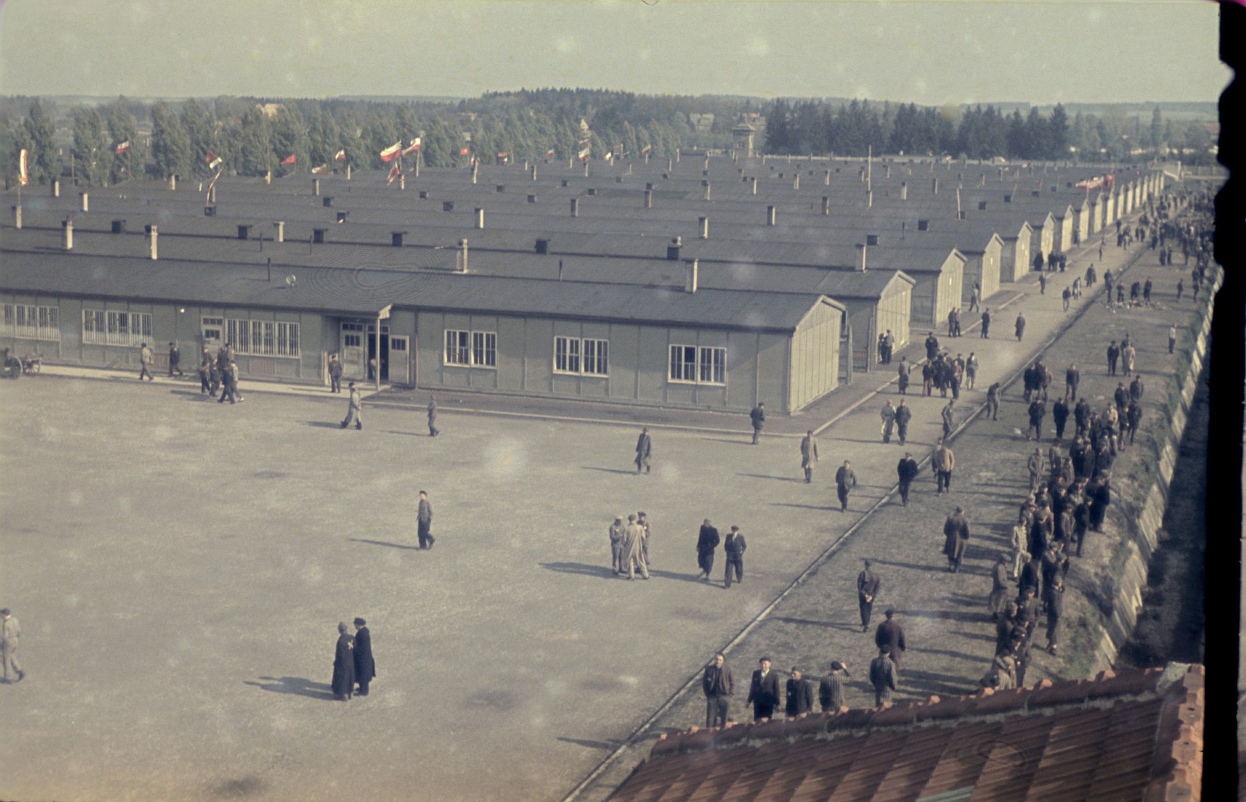 View from above of former prisoners walking along the main street, parallel to the moatt,of the newly liberated Dachau concentration camp parallel to the moat.