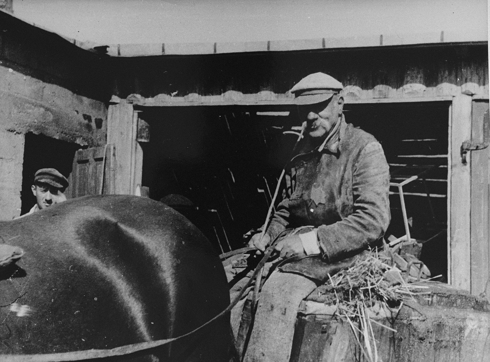 A close-up of Max Teinovitz sitting on a horse-drawn cart used for collecting sewage; the sewage was pumped out manually. 

His son, Meir can be seen on the left.  He was a member of the resistance and, according to the photographer Kadish, moved to Israel after the war.