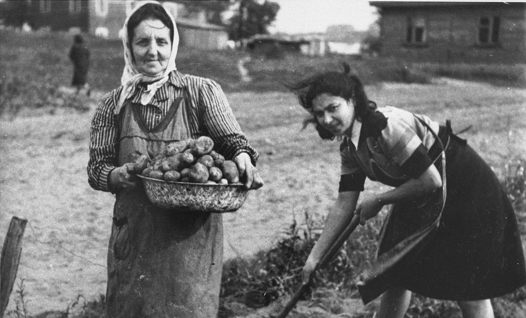 Two women collect potatoes on an agricultural plot in the Kovno ghetto.