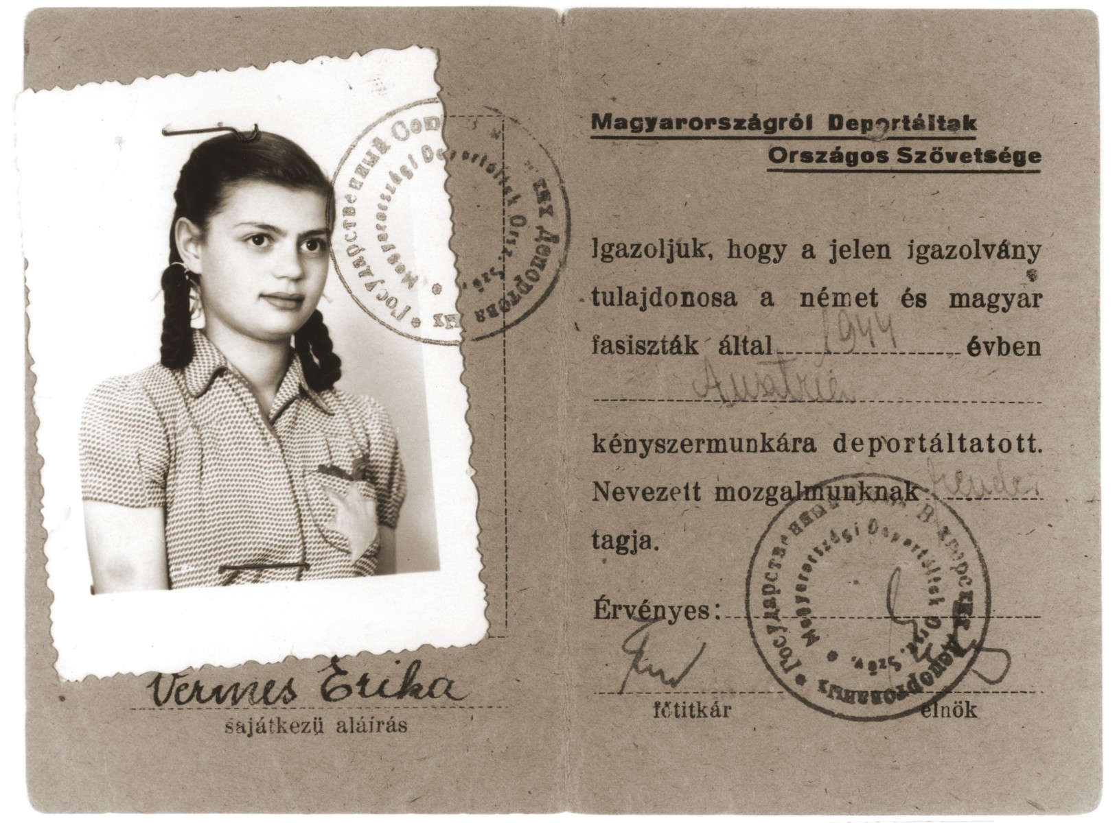 Postwar identification card certifying that Erika Vermes is a member of the National Alliance of People Deported from Hungary.  The photograph that is stapled to the card was taken in 1944 and shows Erika wearing the yellow star.

The ID card, which bears both Hungarian and Russian stamps, states that Erika Vermes was deported to Austria in 1944 by German and Hungarian fascists to perform forced labor.  Erika, in fact, was never deported to Austria.  She appropriated her mother's story in order to qualify for food rations.