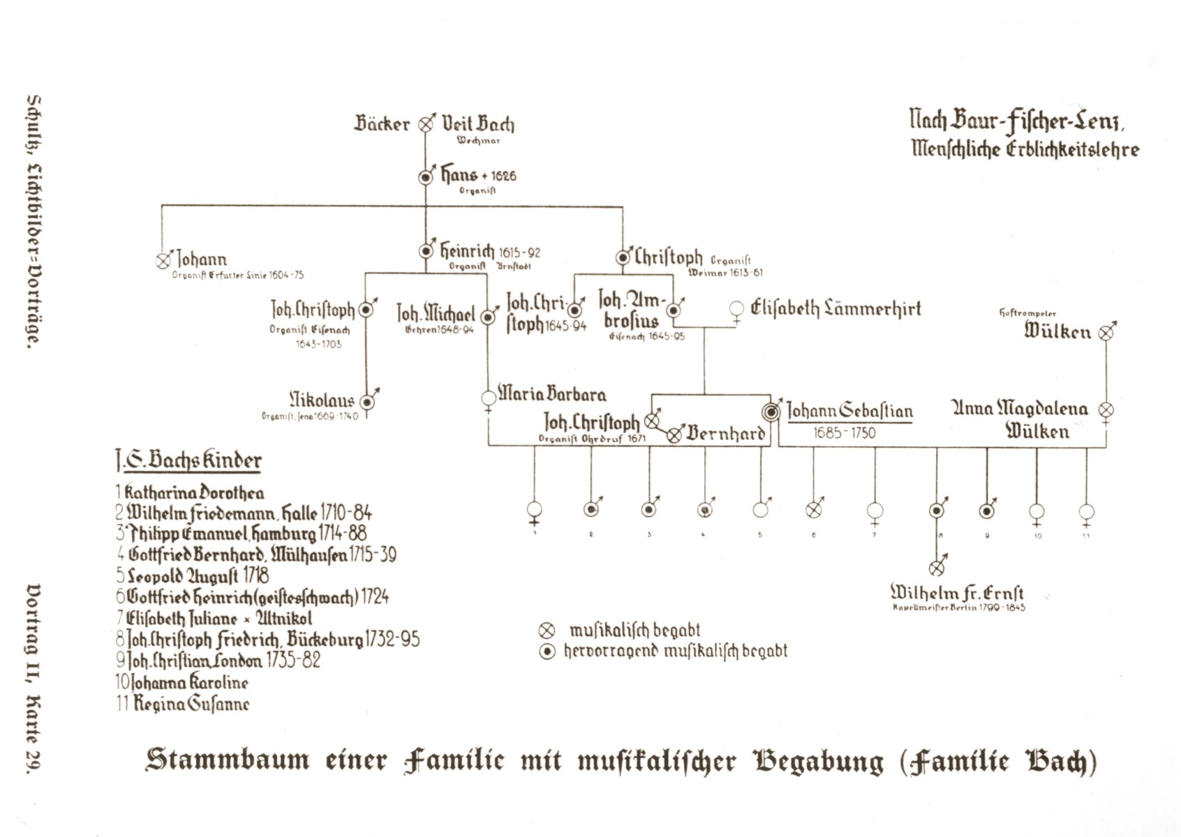 Family tree illustrating the transmission of musical genius through several generations of the family of Johann Sebastian Bach, taken from a set of slides produced to illustrate a lecture by Dr. Johannes Schottky, researcher in the SS Race and Settlement Office, on human heredity, with special attention to physical and mental disabilities. [Lecture 2, Card 29]
