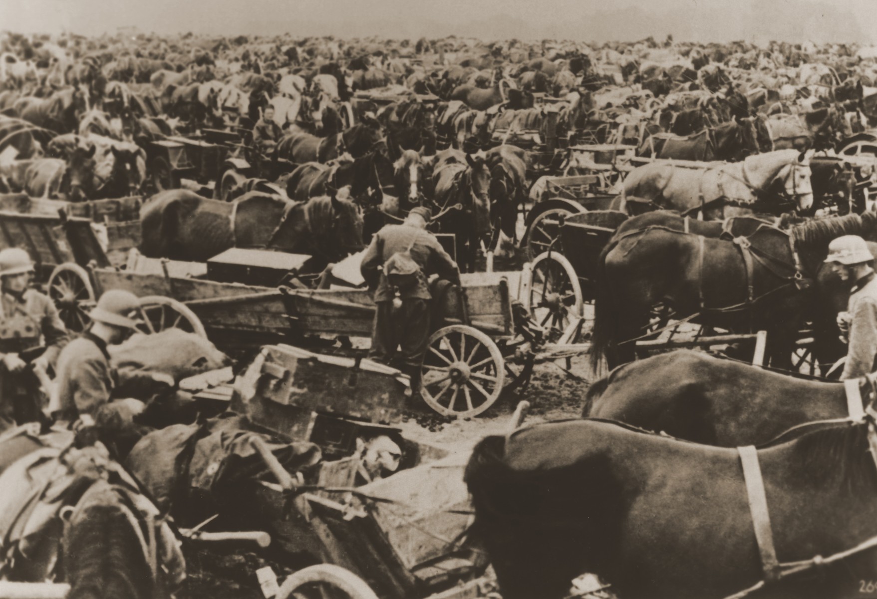 German soldiers stand among a vast assembly of horse-drawn wagons during the invasion of Poland.