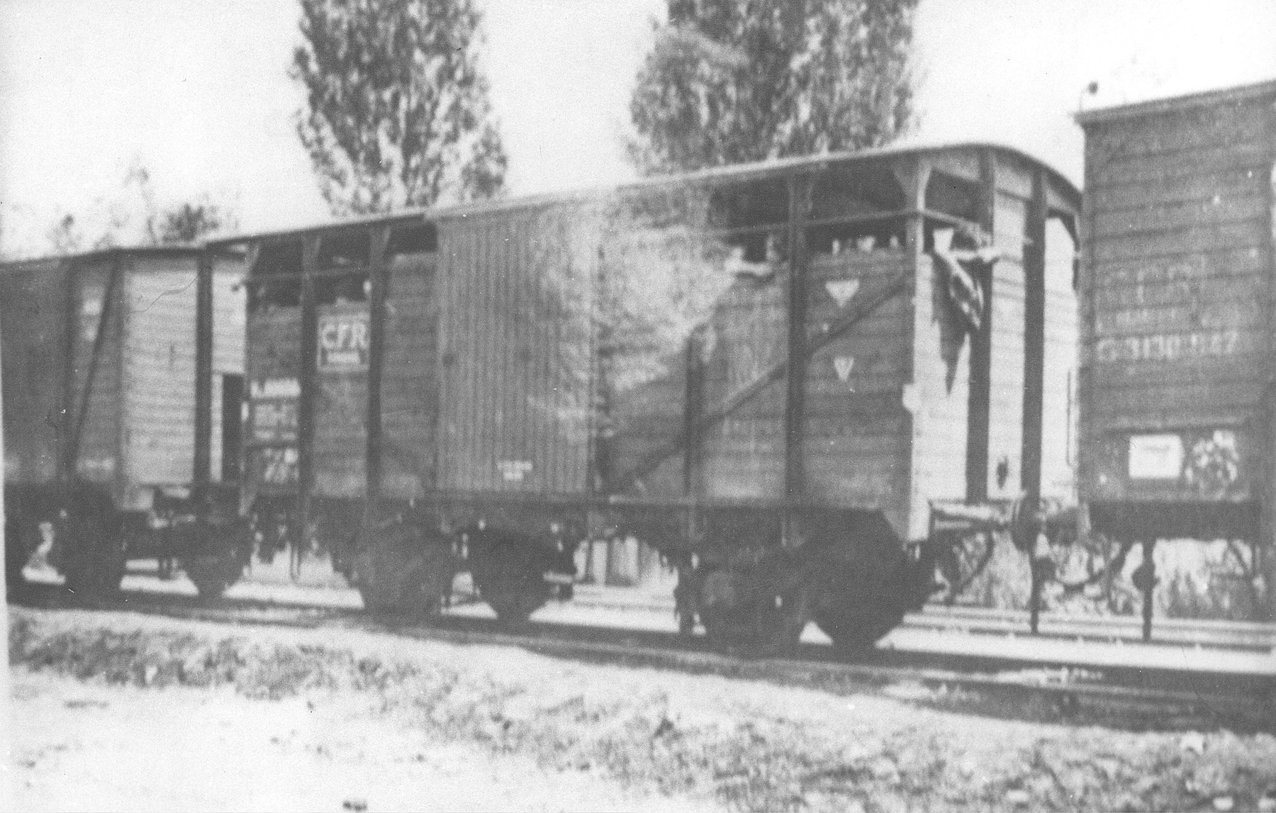 The Iasi-Calarasi death train at the railroad station in Targu-Frumos.

At Targu-Frumos the command of the train guard was taken over by 2nd Lt. Aurel Triandaf, assisted by Sgt. Maj. Anastase Bratu.