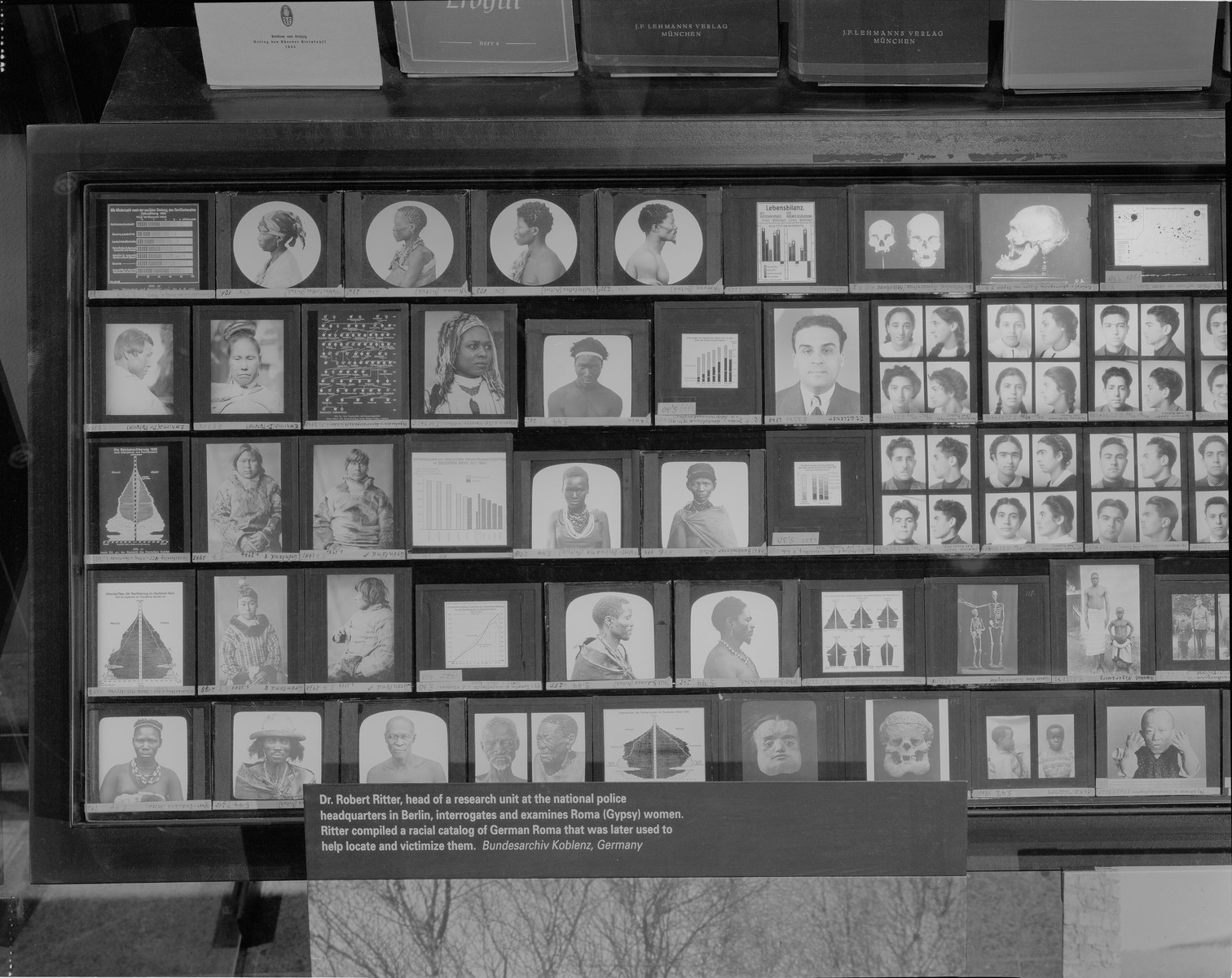 A collection of Nazi racial lantern slides on display in the permanent exhibition of the U.S. Holocaust Memorial Museum.