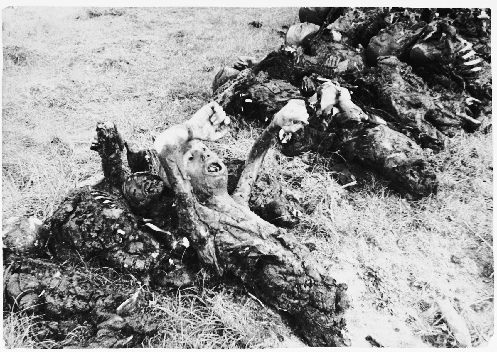 Burned corpses lie on the grounds of the Klooga concentration camp.