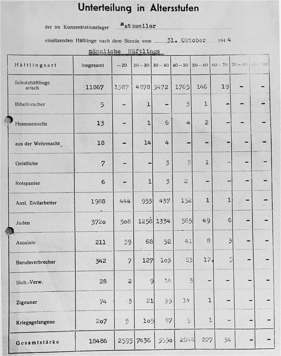 A German ledger found in Natzweiler-Struthof which subdivides male prisoners by age and type: 1) Aryan; 2) Jehovah's Witnesses; 3) homosexuals; 4) soldiers; 5) priests; 6) Spaniards; 7) foreign civil workers; 8) Jews; 9) socialists; 10) criminals; 11) anarchists; 12) Roma; 13) POWs.  The total count was 18,486 male prisoners.