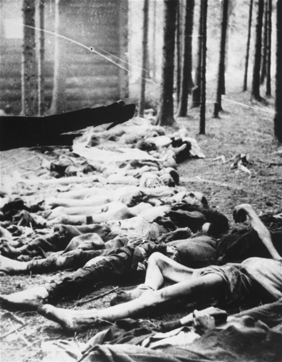 Corpses at Gunskirchen after liberation.