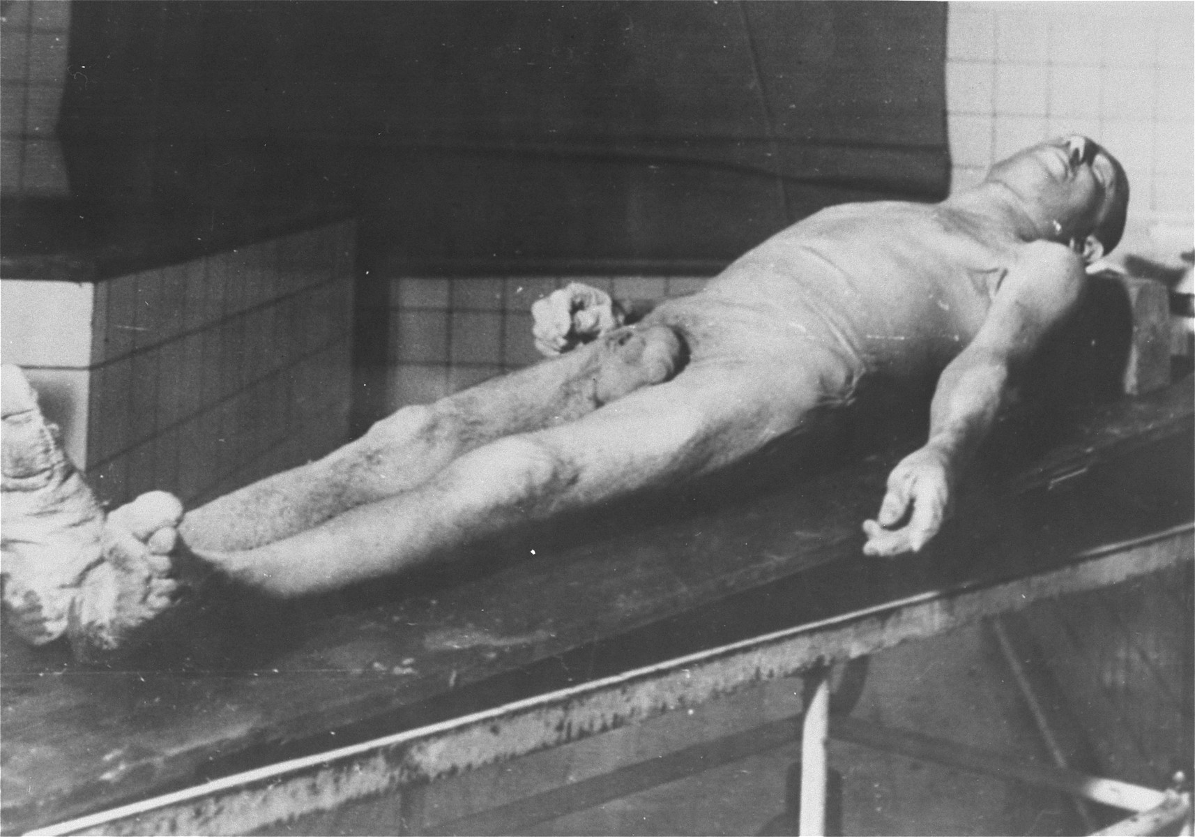 The corpse of a Jewish man found in an alcohol-filled vat at the Strasbourg University Anatomical Institute.

At the end of August,1943, eighty-six Jews, including 30 women, were gassed in Natzweiler-Struthof for the purpose of constructing a collection of skulls and skeletons to be kept at the Strasbourg University Institute of Anatomy, under the directorship of August Hirt.  The individuals were "selected" at Auschwitz for their special bone structure and transferred to Natzweiler, where SS Captain Josef Kramer, the commandant of the camp, oversaw the operation.  The corpses then remained in vats of alcohol for over a year, the project envisioned by Hirt having never been completed.  When Allied forces approached Strasbourg in November 1944, SS administrators were unaware that evidence of the crime still existed at the Institute, and only at the last minute ordered the bodies destroyed.  This operation failed, however, and 16-17 of the bodies fell into Allied hands. [Klarsfeld, S., ed. The Struthof Album, 1985]