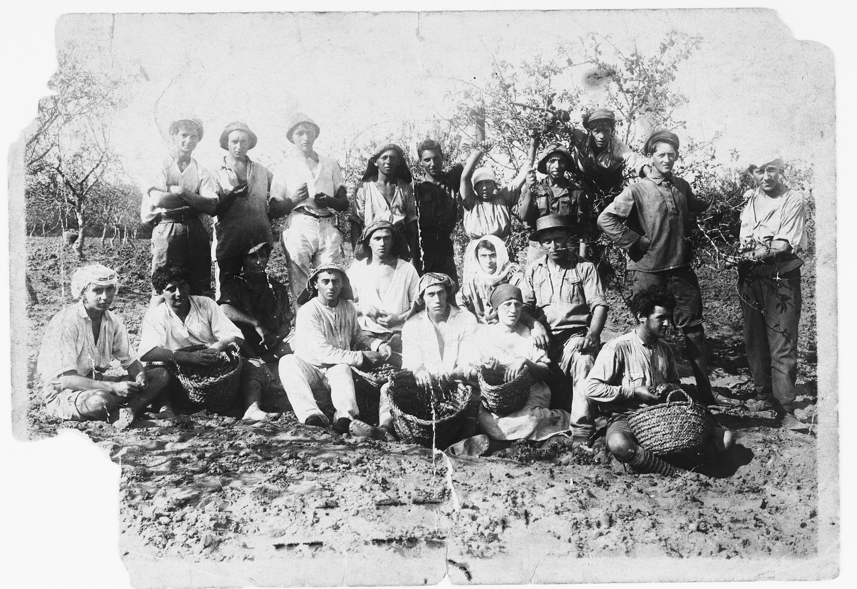 Group portrait of young Zionist pioneers in Palestine in a field with straw baskets.

Among those pictured is Mendel Abramowicz.