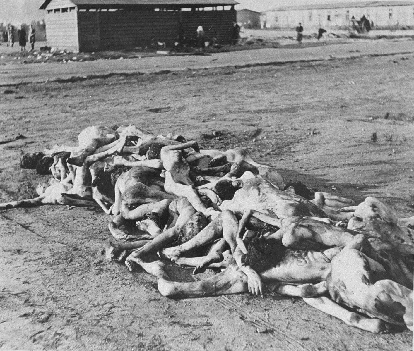 Corpses in Bergen-Belsen.