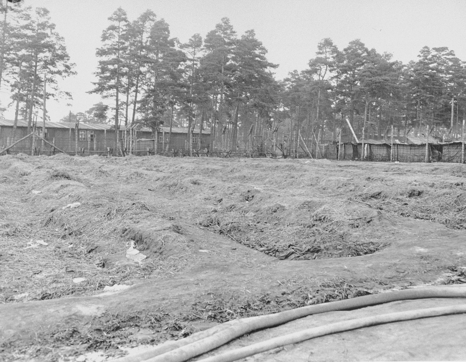 A section of Bergen-Belsen concentration camp that was once used as a potato field.  Prisoners caught stealing potatoes were severely punished.