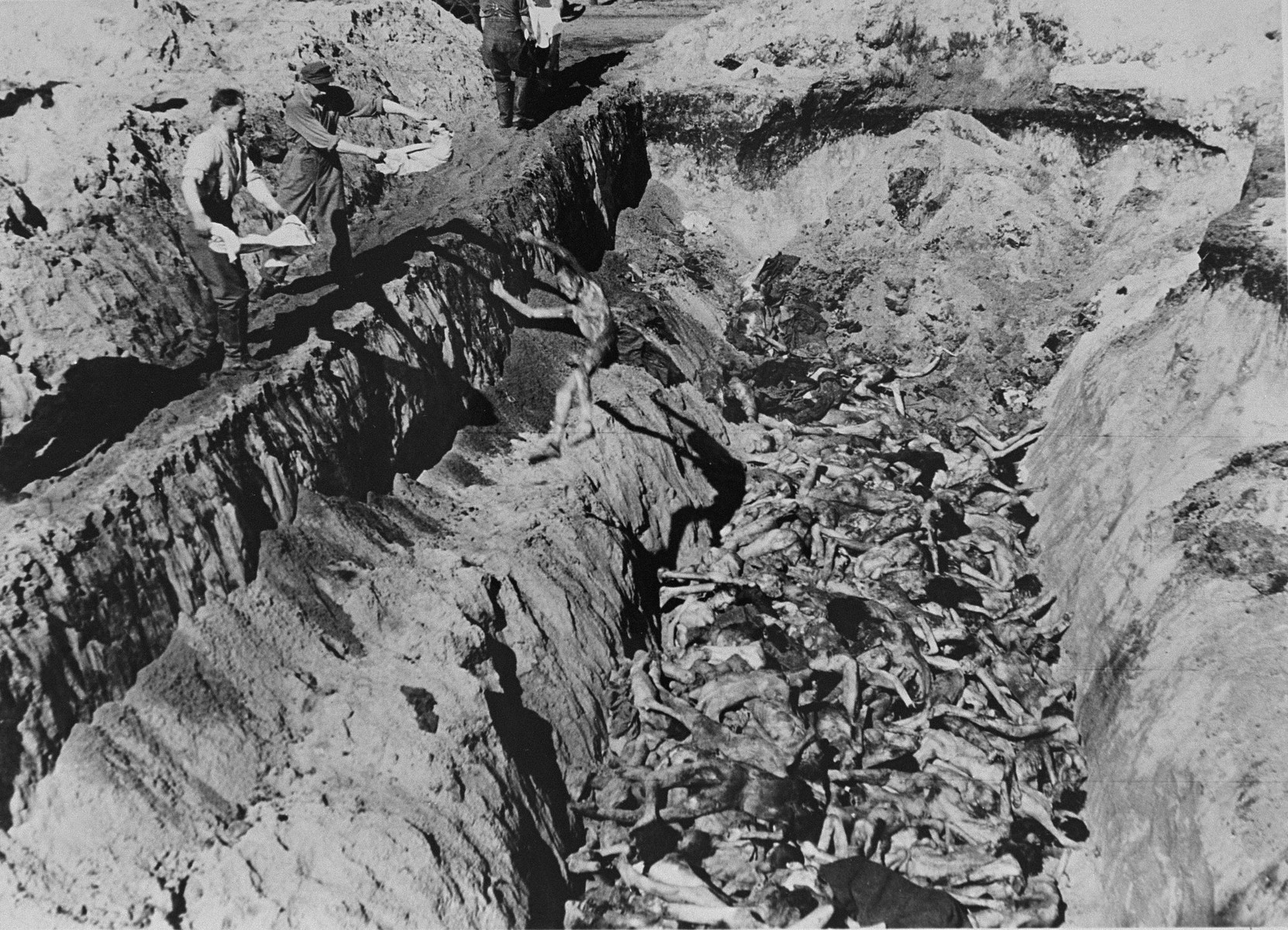 Former SS guards bury  corpses of prisoners in a mass grave in Bergen-Belsen concentration camp.