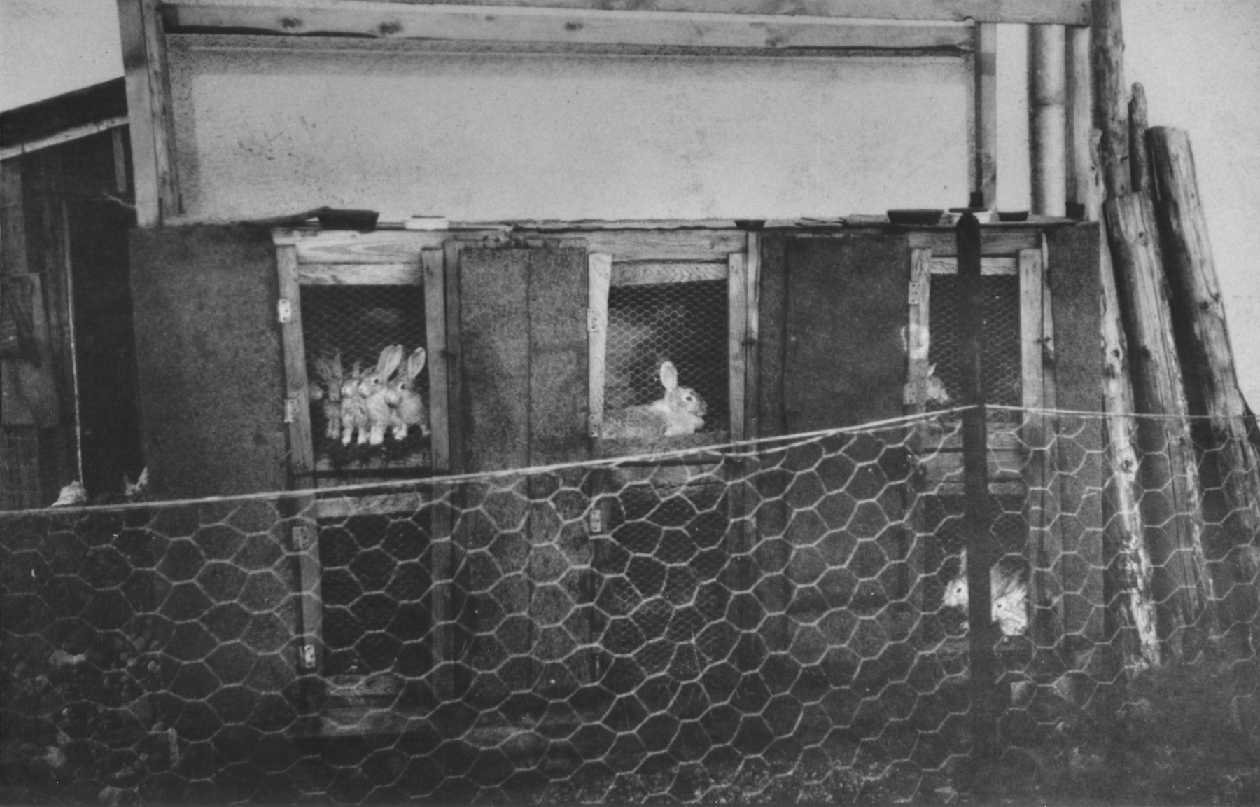 View of a rabbit hutch on Heinrich Himmler's farm in Waldtrudering, Germany.