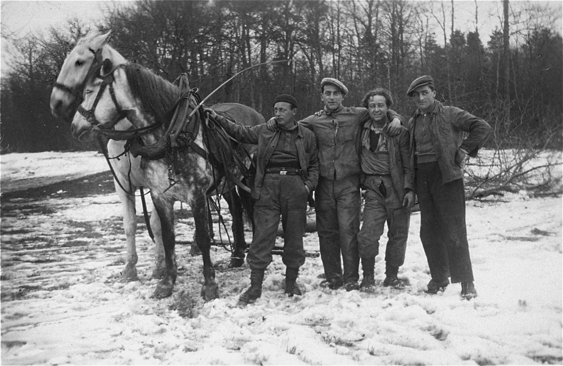 German and Austrian Jewish refugees, who have been detained in a Swiss labor camp, pose next to the horse they use in their road construction work.