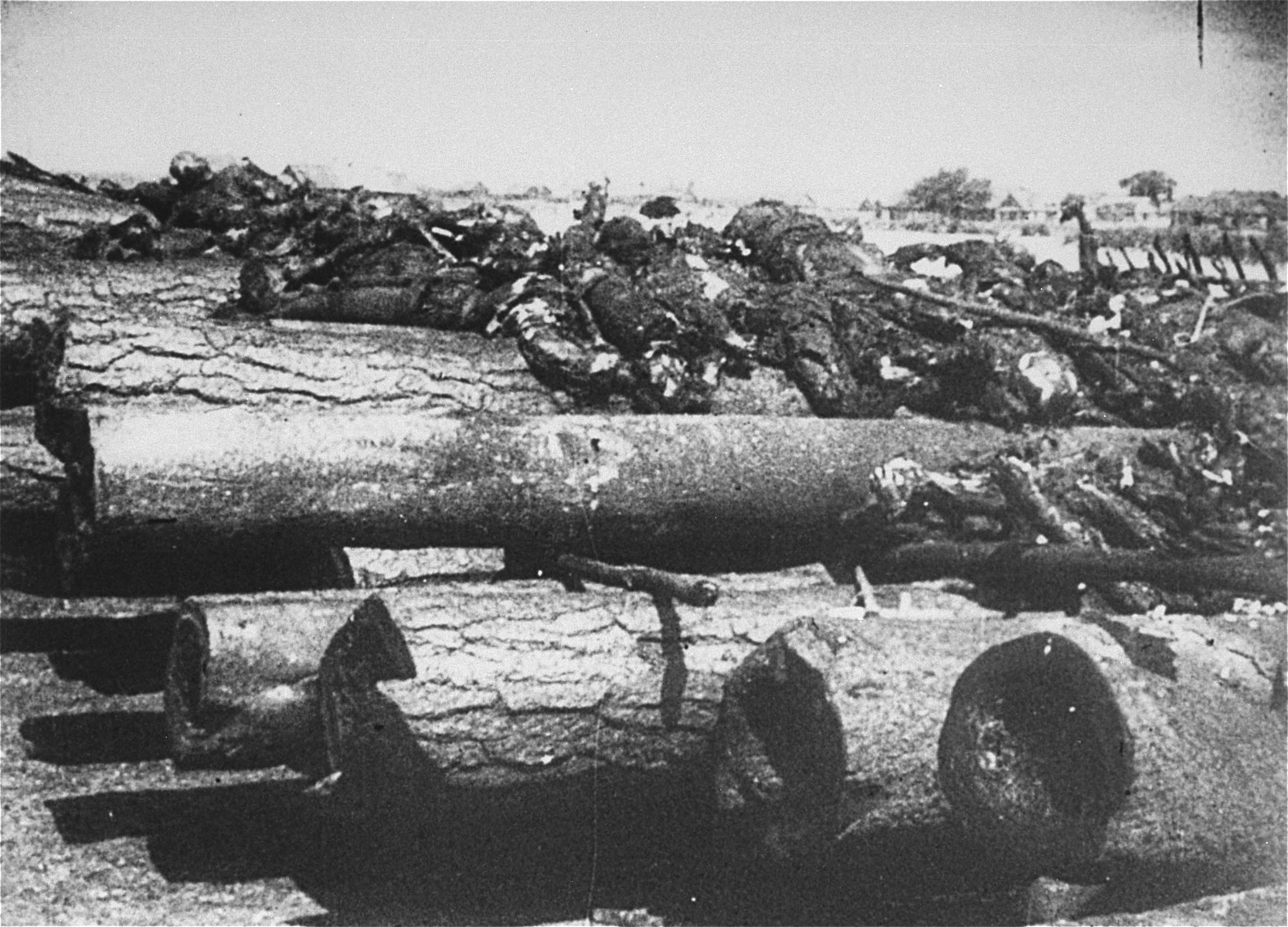 The charred remains of prisoners burned by the Germans before the liberation of the Maly Trostinets concentration camp.