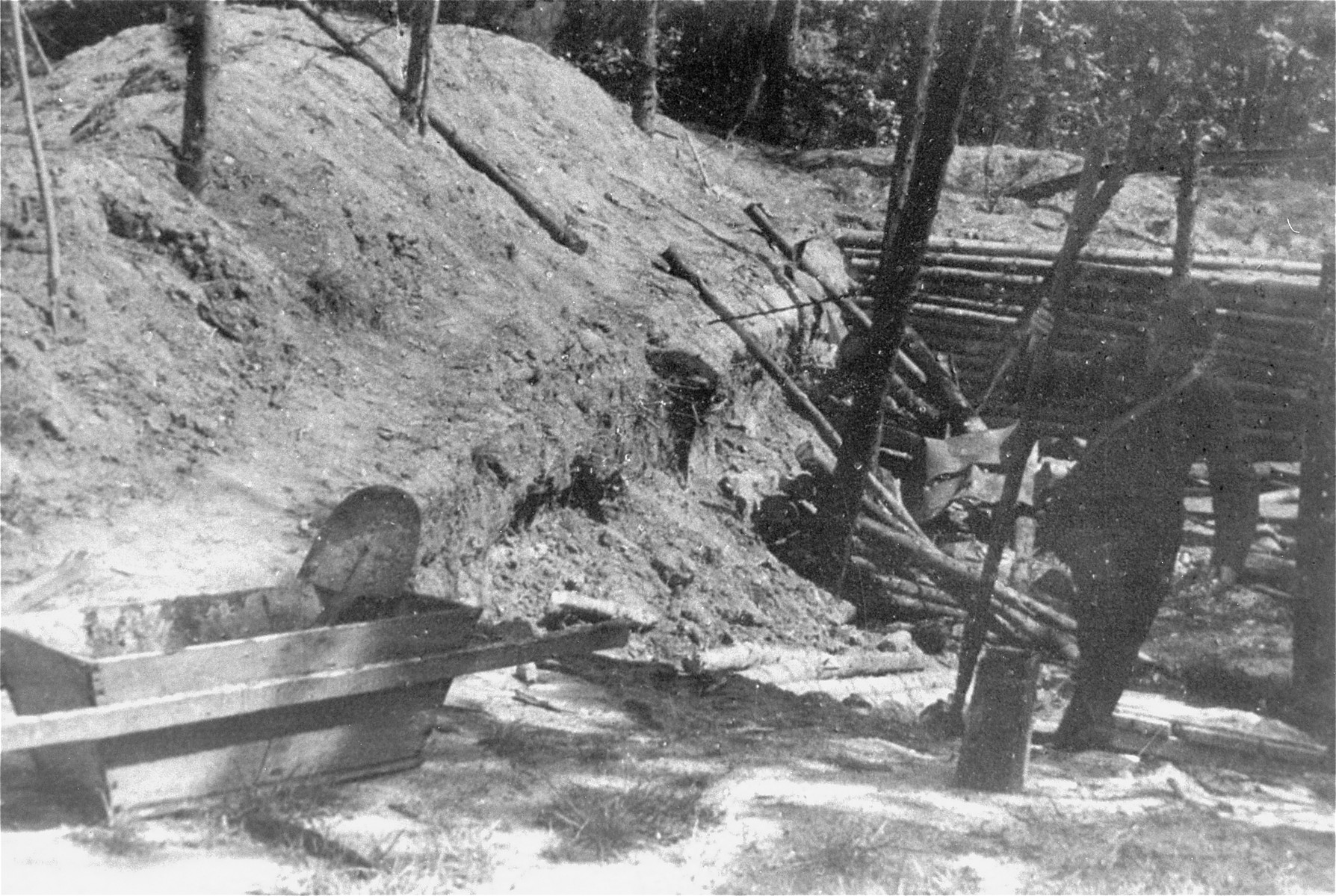 View of the site where the corpses of Jewish prisoners were burned by the Germans near the Maly Trostinets concentration camp.