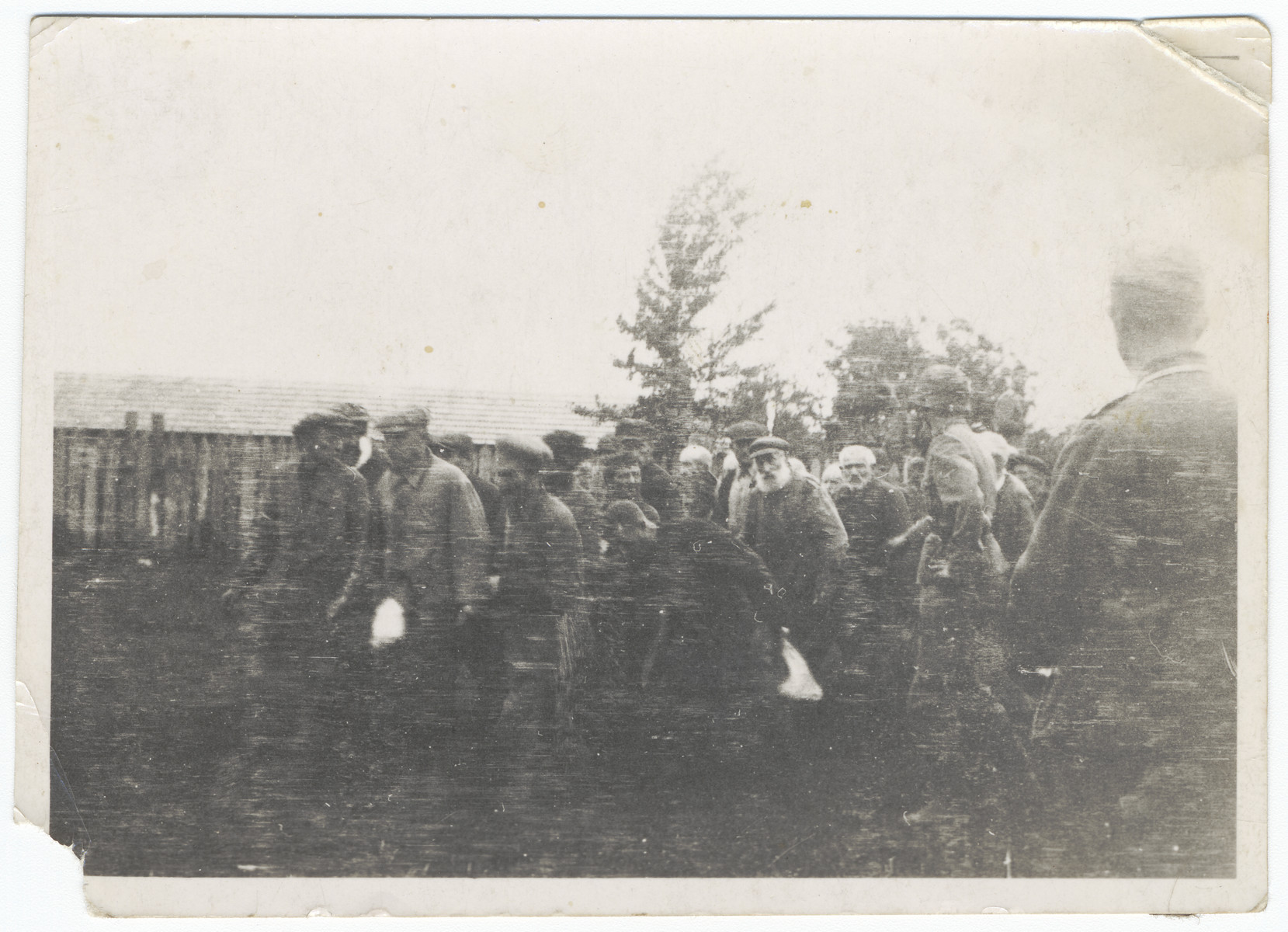 Jewish men from Zhitomir are brought to a cemetery where they would be shot by German troops.

The original caption reads "We had to look as they were shot by ourselves."