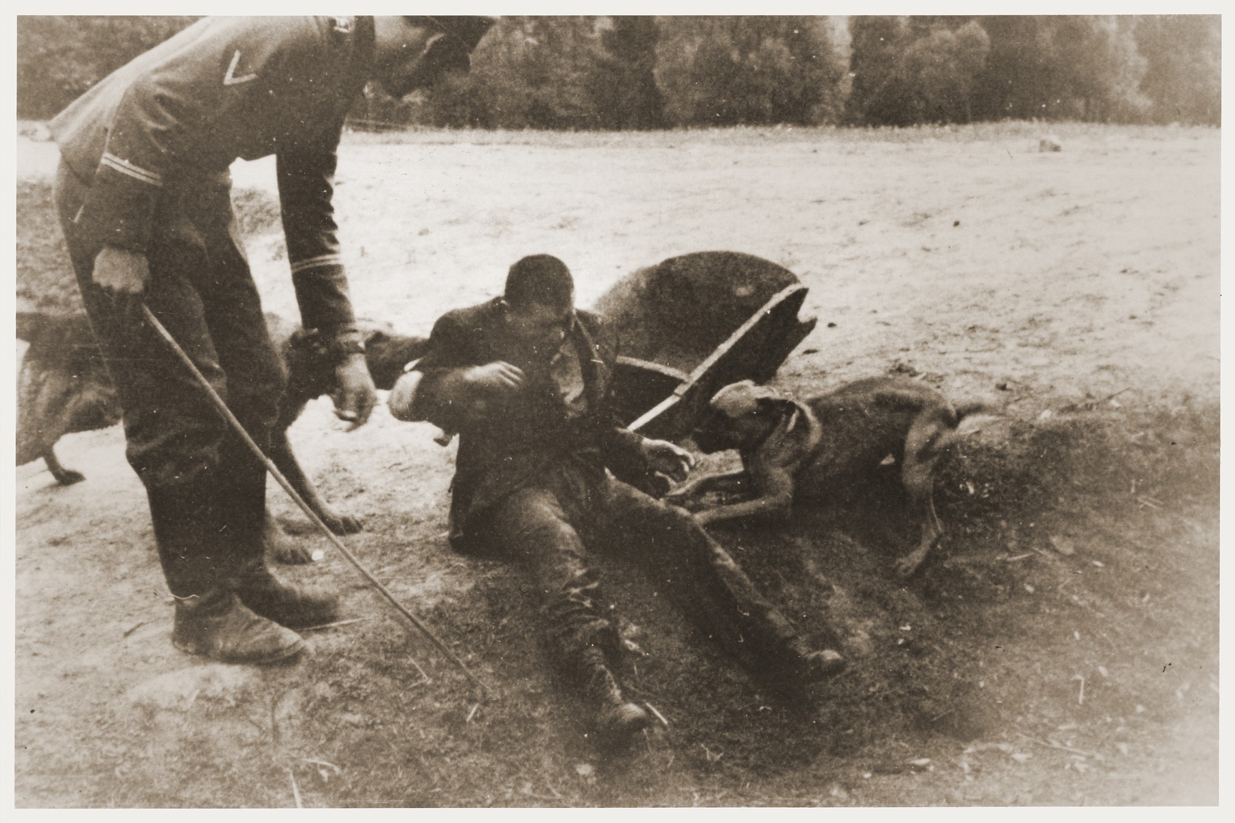 A German sets his two dogs upon a Jewish forced laborer, who is sitting on the side of a trench.