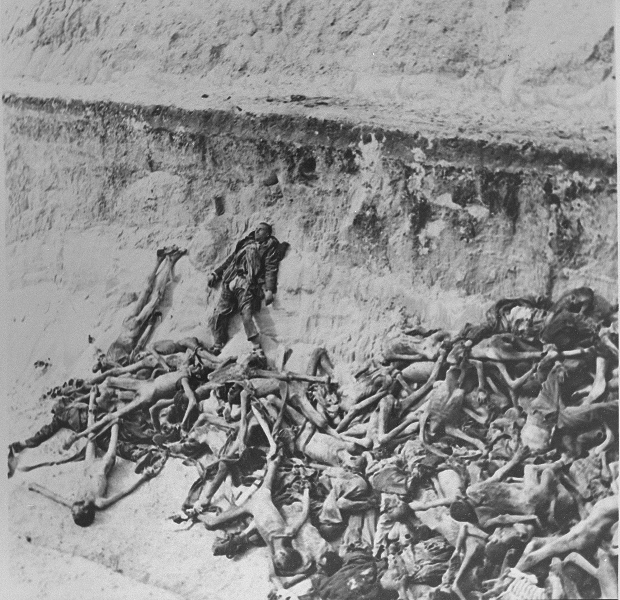 A mass grave in Bergen-Belsen concentration camp.