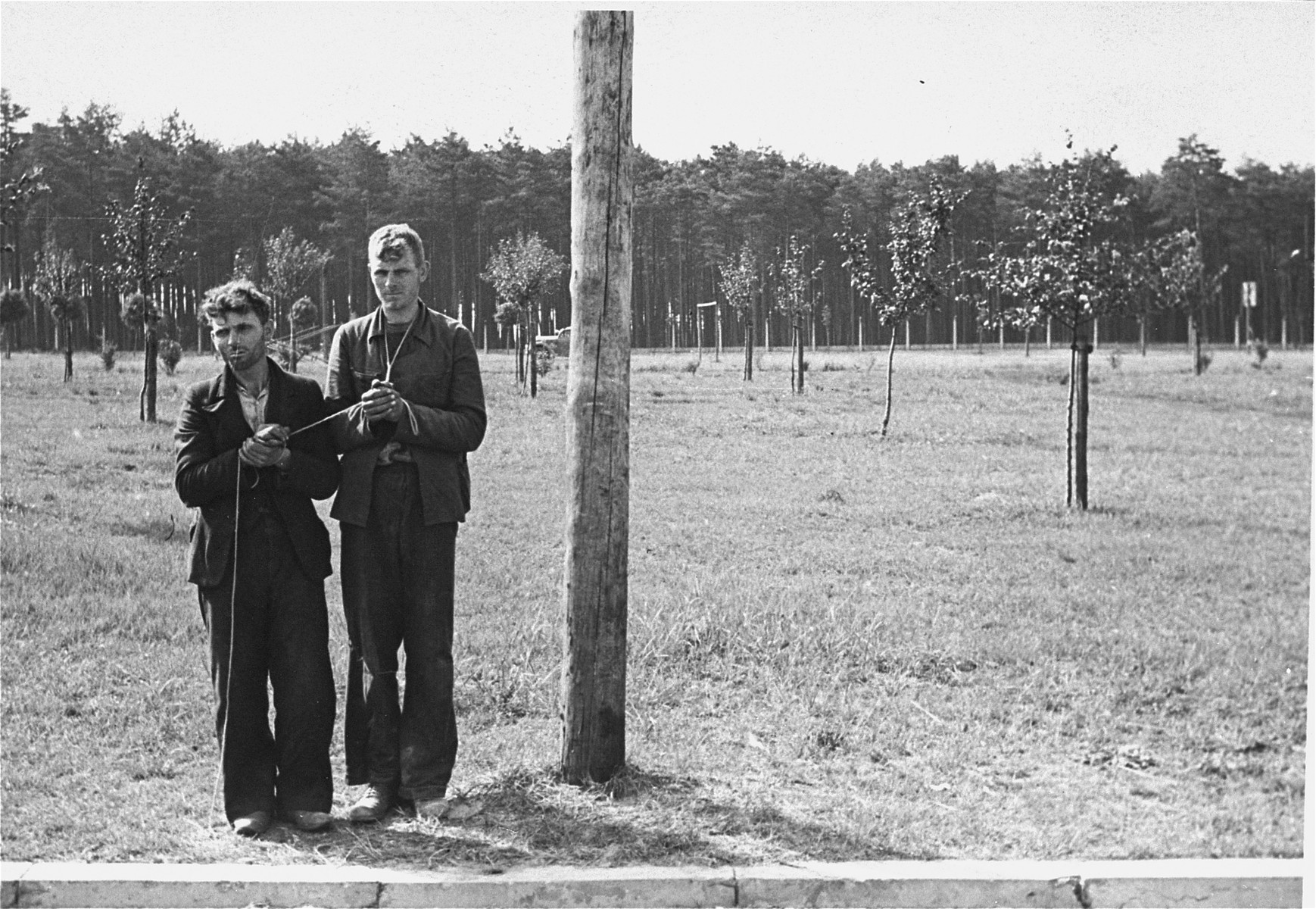 [Probably, two young Polish men stand in a field with their hands bound together prior to their execution.] 

One image of Einsatzgruppen activities in Poland in 1939, found by Joseph Igra after the war, in a an album in an apartment in Sosnowiec.