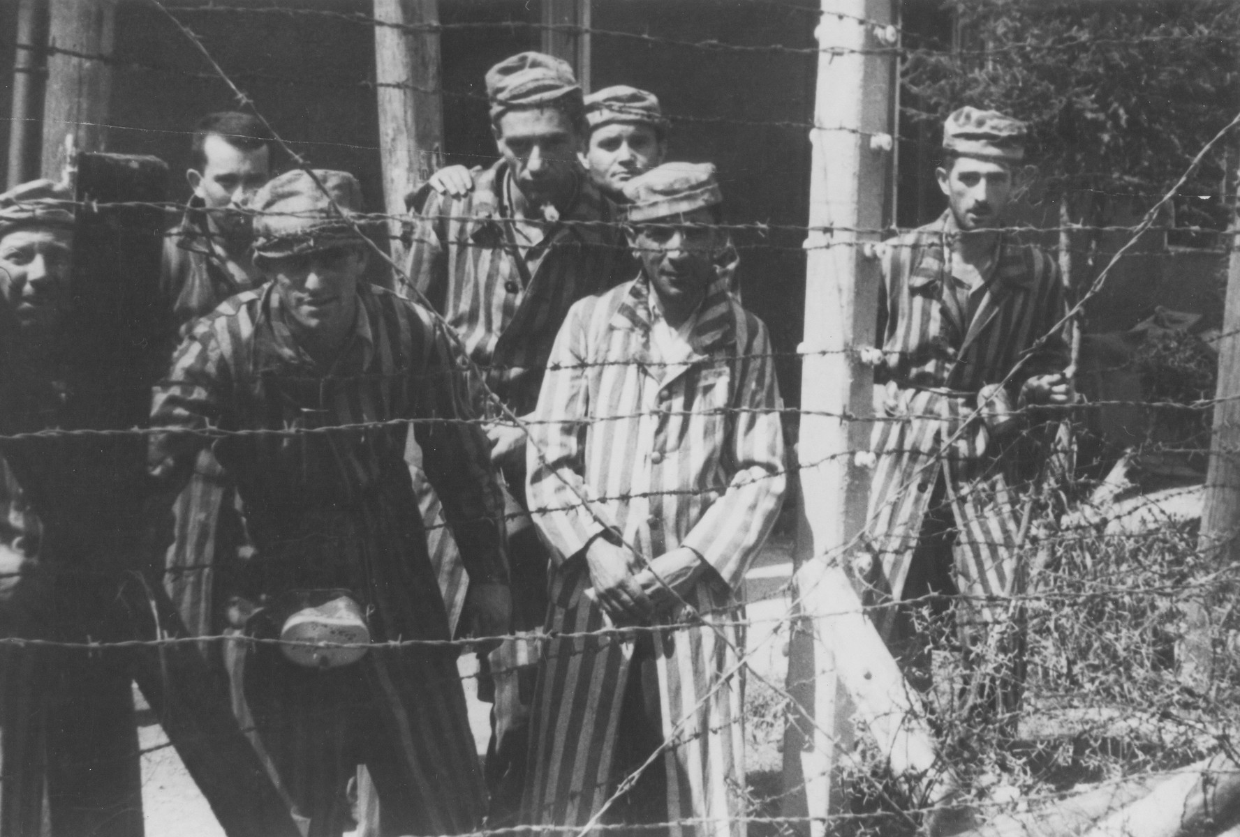 Newly liberated prisoners stand by the barbed wire fence in either Mauthausen or Gunskirchen.

Pictured in the center is Tibor Weinberger.