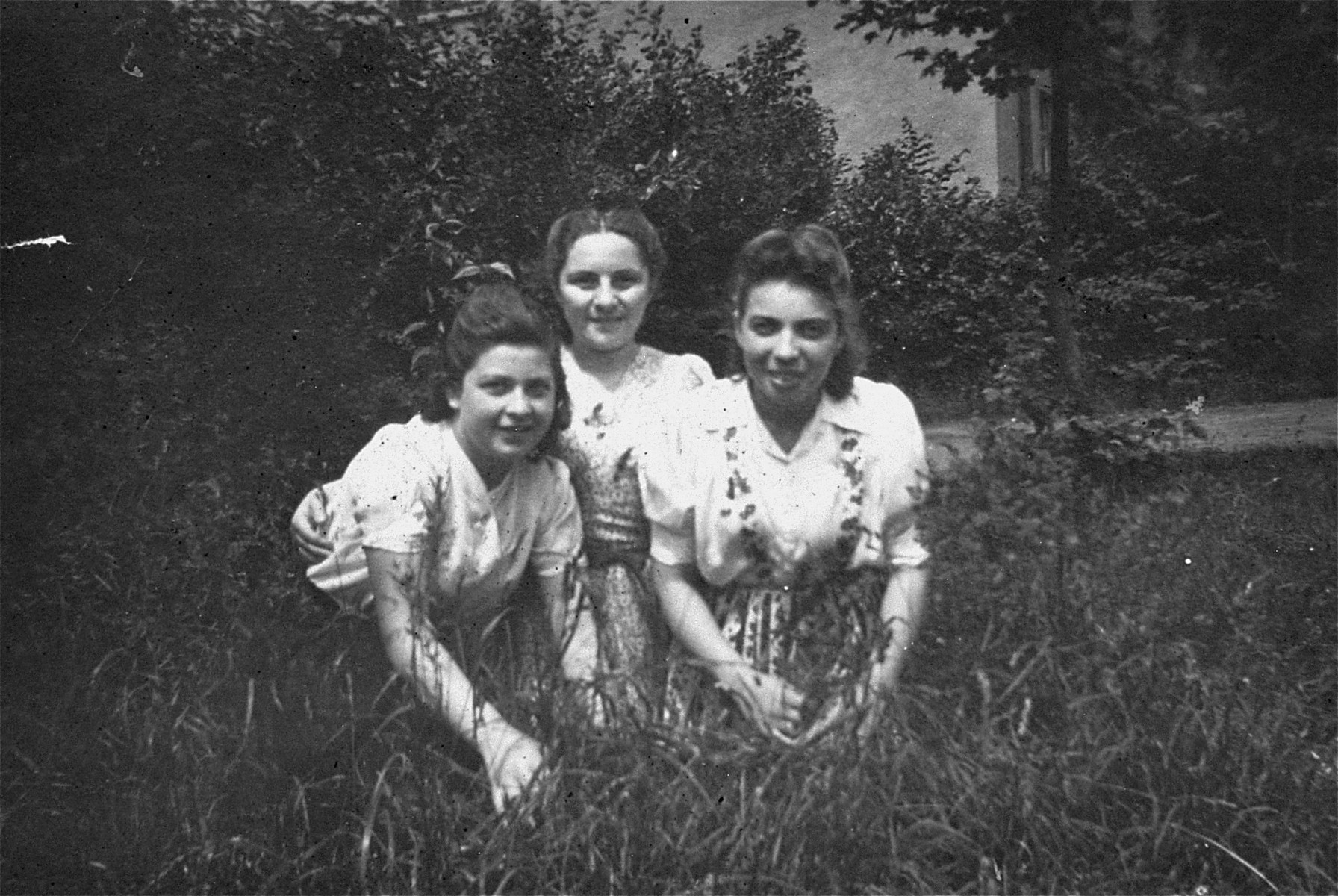 Three teenage girls pose in the grass at the Bergen-Belsen displaced persons camp.  

Pictured on the left is Rozia Merin.