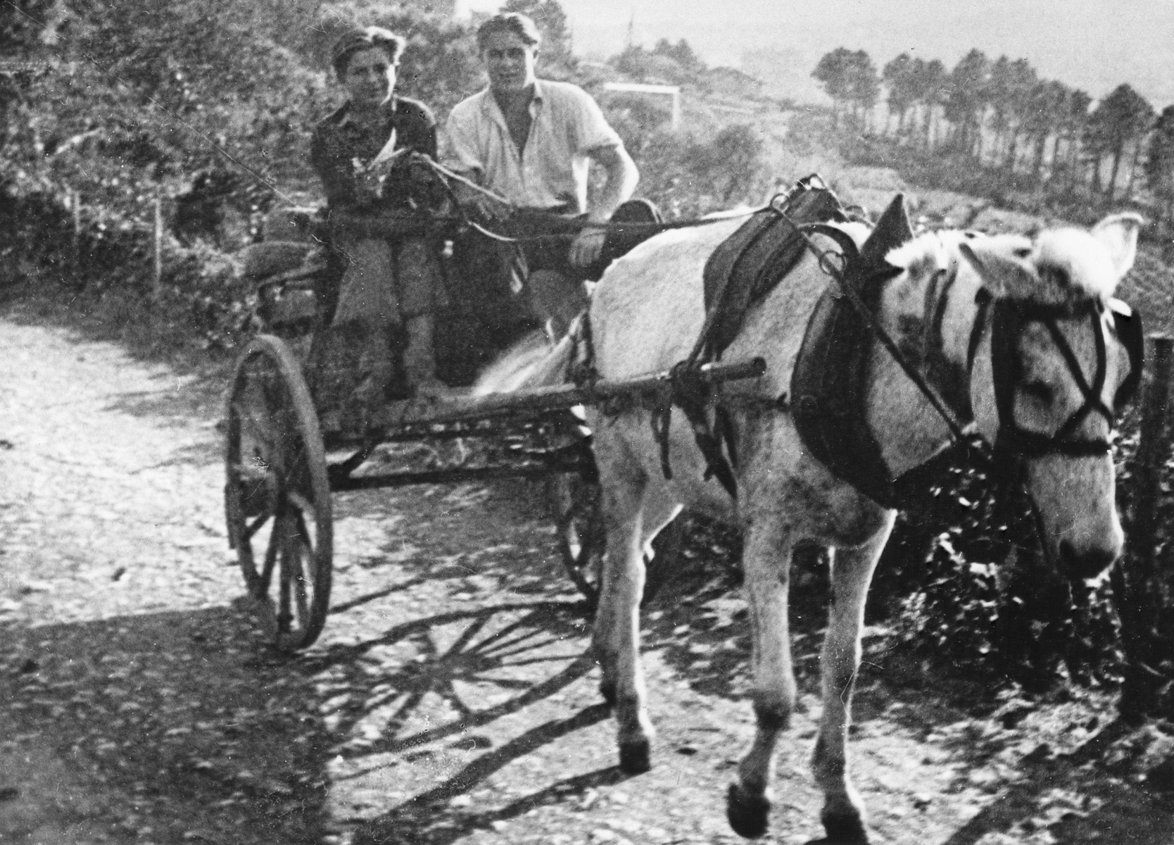 Two refugee teenagers, one Czech and one Jewish, ride in a horse-driven cart, in a farm in Vallon under the protection of the MACE.

Pictured are Arthur Reichl and Zadina.