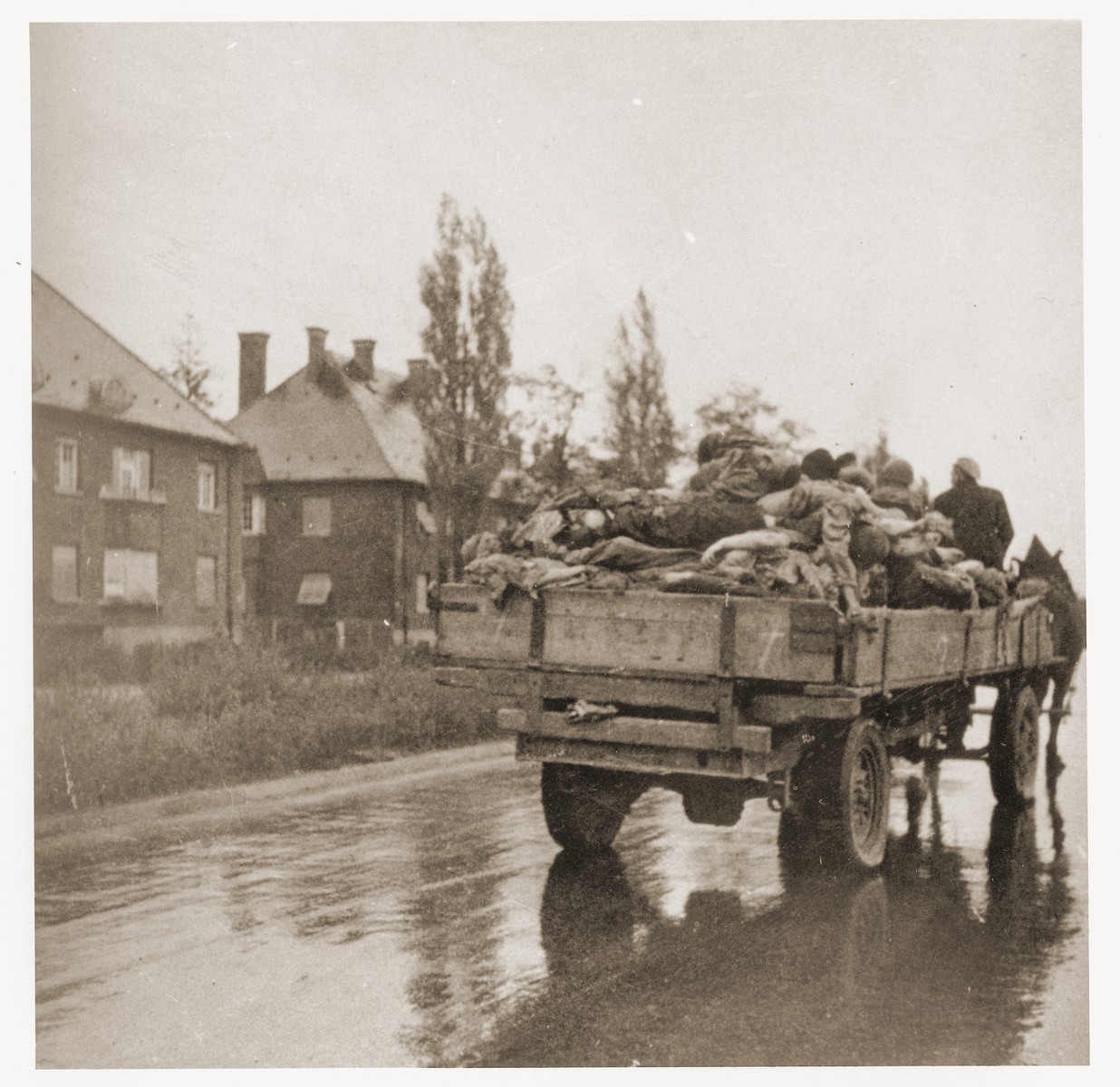 Wagons laden with corpses leave the Dachau concentration camp en route to a burial site.  Allied authorities required local farmers to drive their loaded carts through the town of Dachau as an education for the inhabitants.