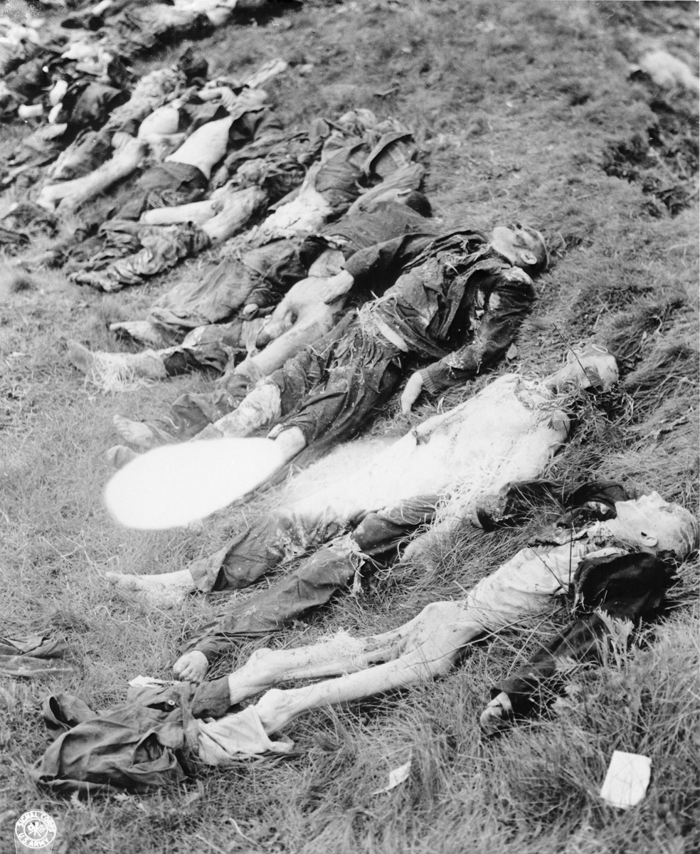 The bodies of 140 Hungarian, Russian, and Polish Jews exhumed from a mass grave near Schwarzenfeld.  
The victims died while on an evacuation transport from the Flossenbuerg concentration camp.