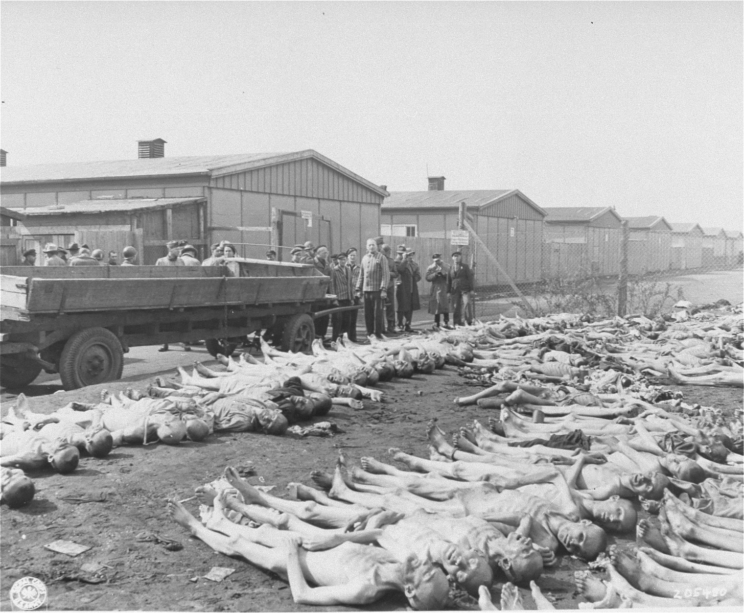 Visiting American newspaper and magazine correspondents view rows of corpses in Dachau during an inspection of the camp.