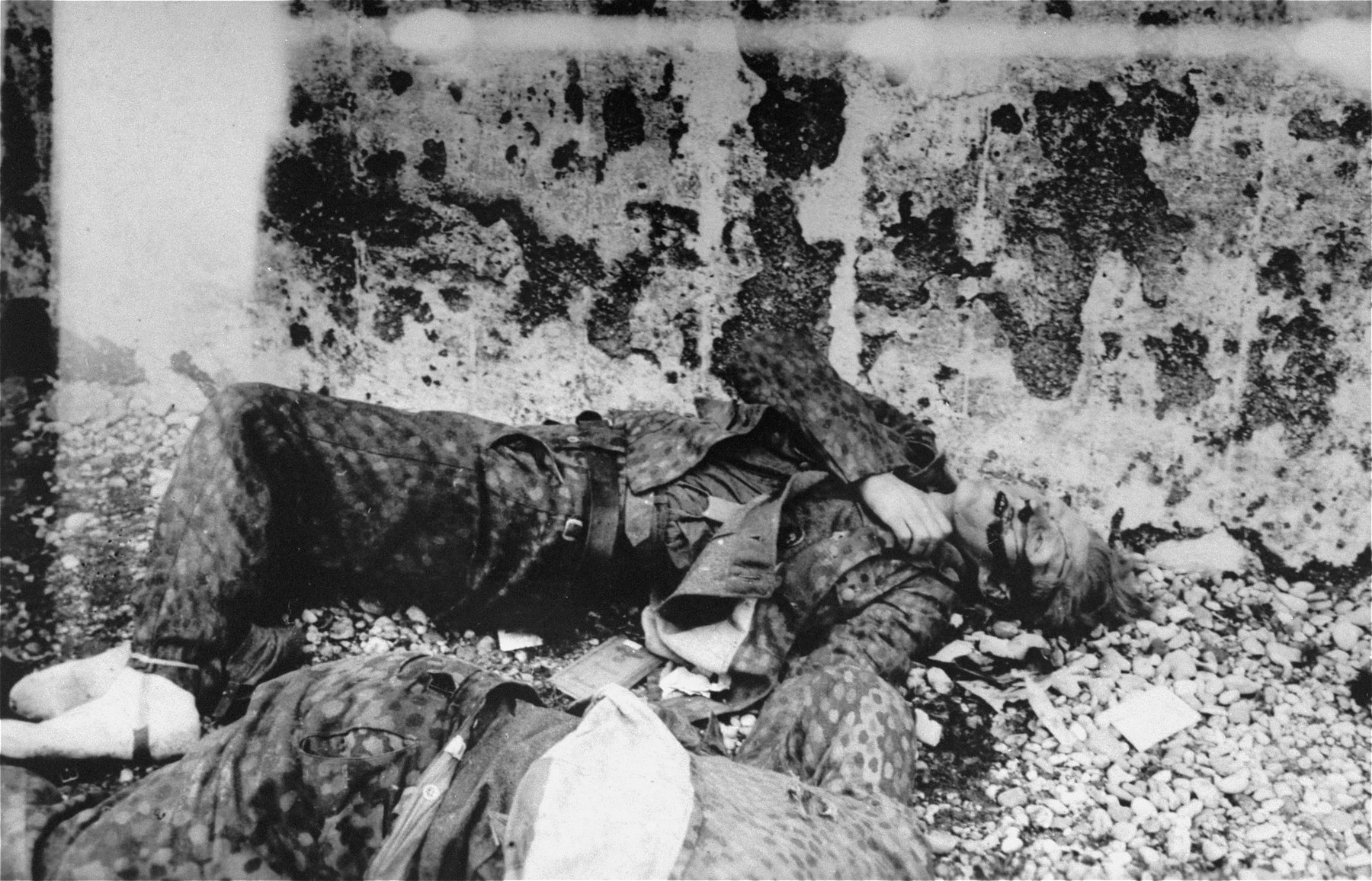 The corpse of an SS guard who was summarily executed in Dachau by U.S. troops.