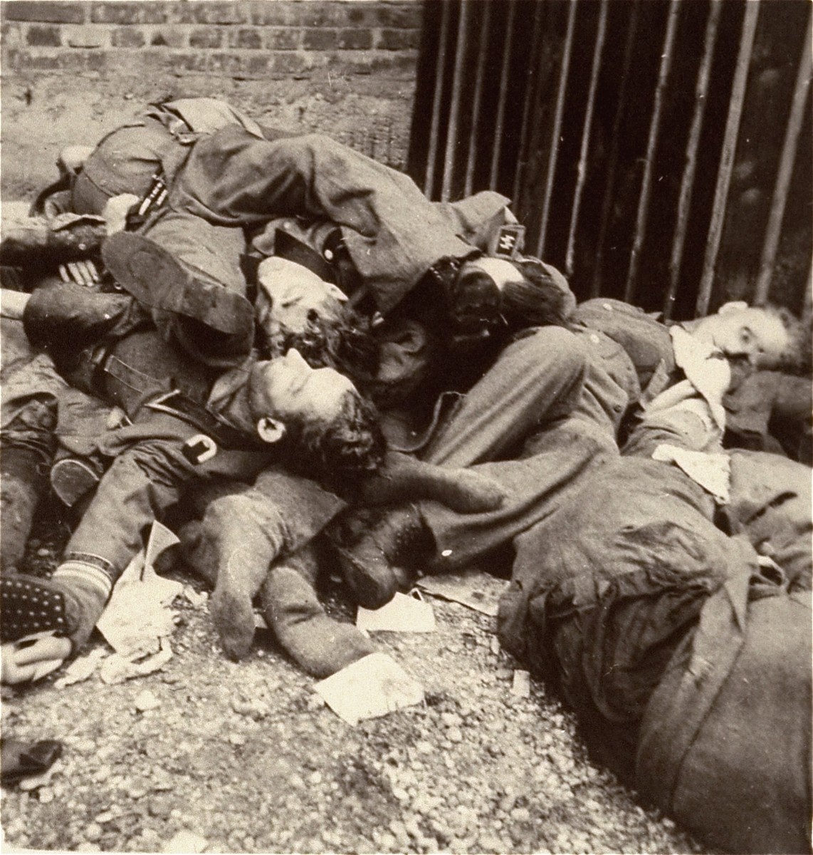 The bodies of SS personnel who were executed by U.S. troops during the liberation of Dachau.