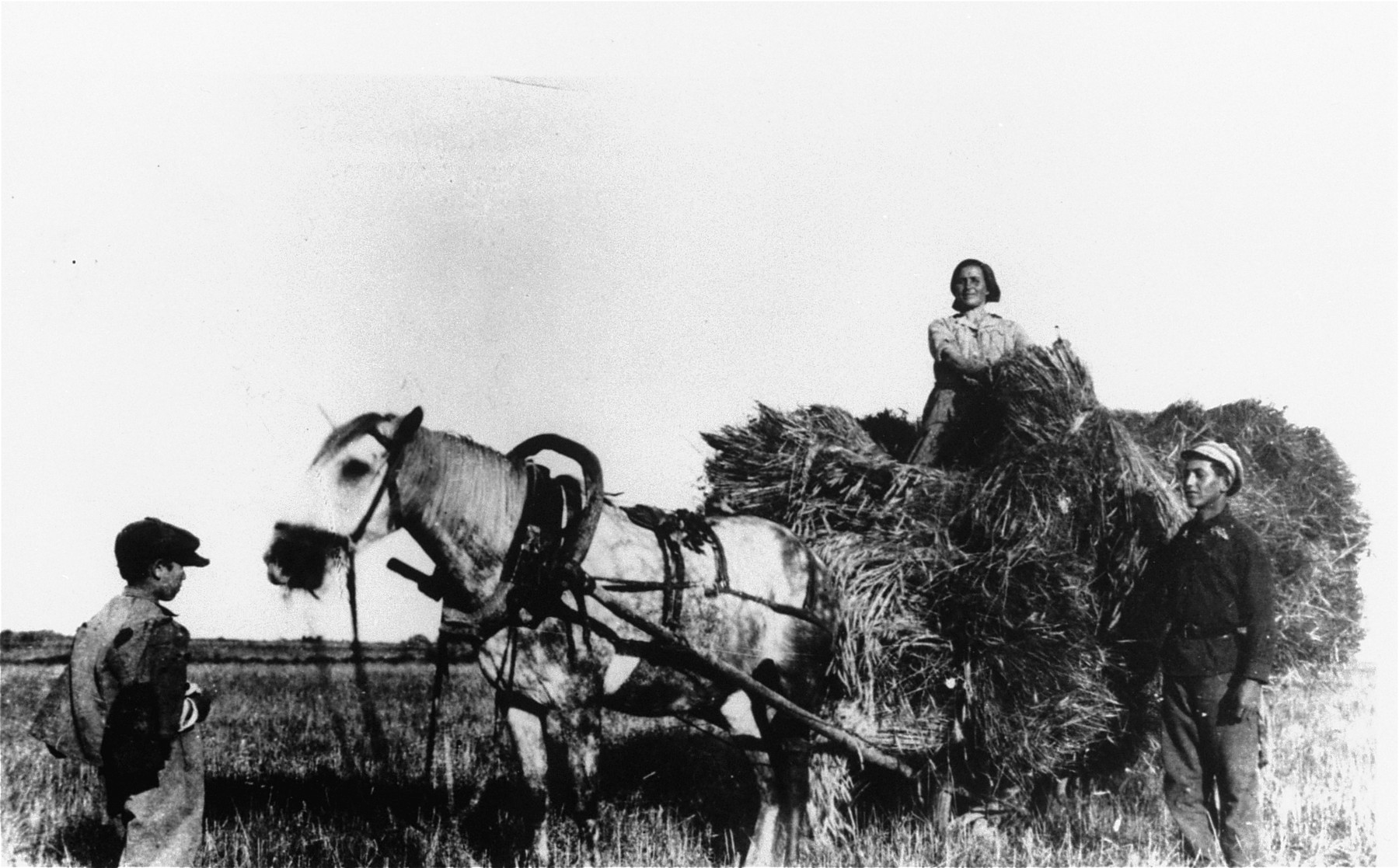 A family of Jewish farmers collects hay from the field and loads it onto their horse-drawn wagon.

Pictured are Chaim Rozenbaum (at the left), his aunt, Zippa Gorbut (on the wagon), and her son Avraham.