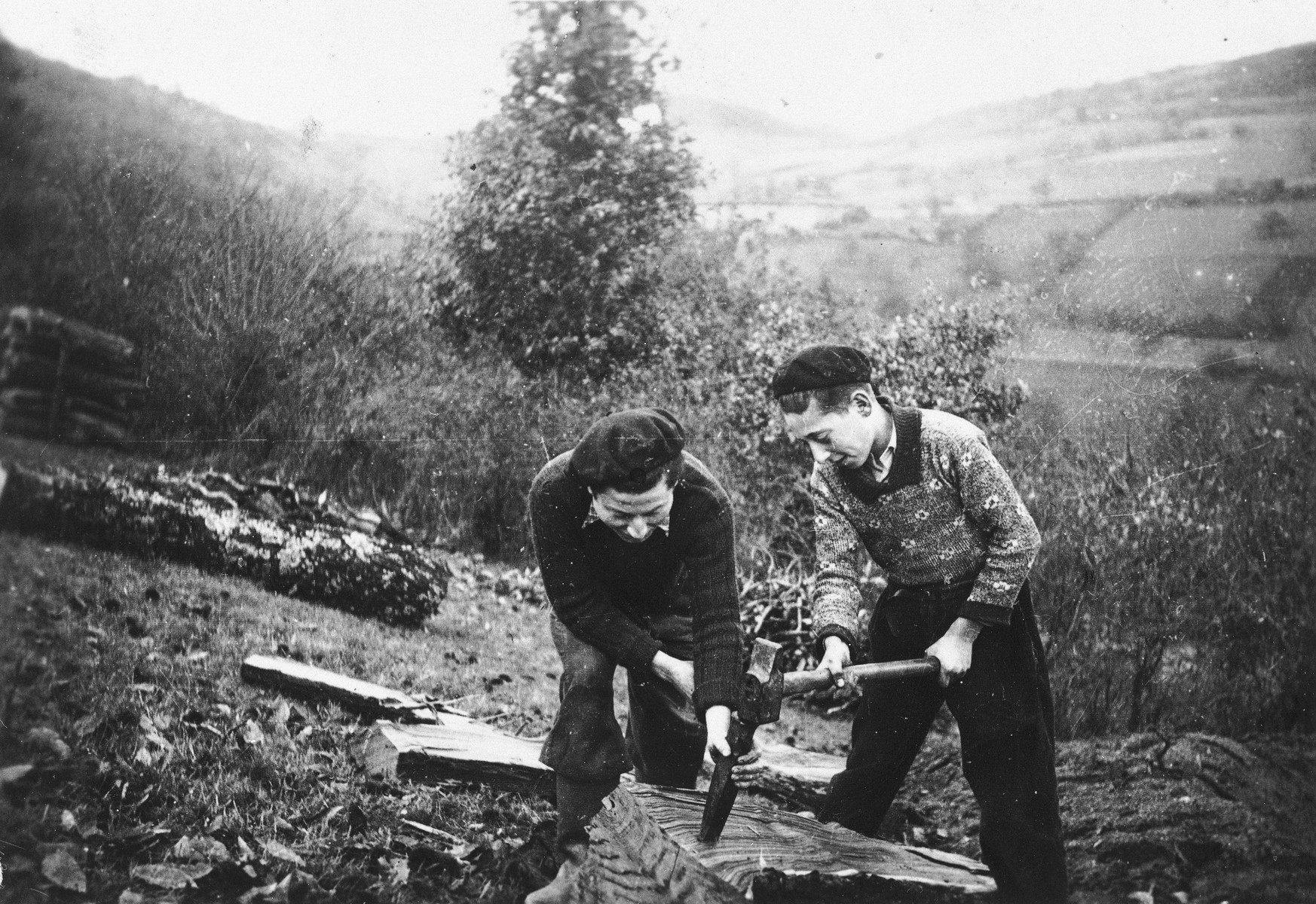 Two Jewish youths chop wood while living in hiding on a farm in Taluyers.

Alfred Bohem (left) survived and lives in Strassbourg and Robert Loeb is on the right.