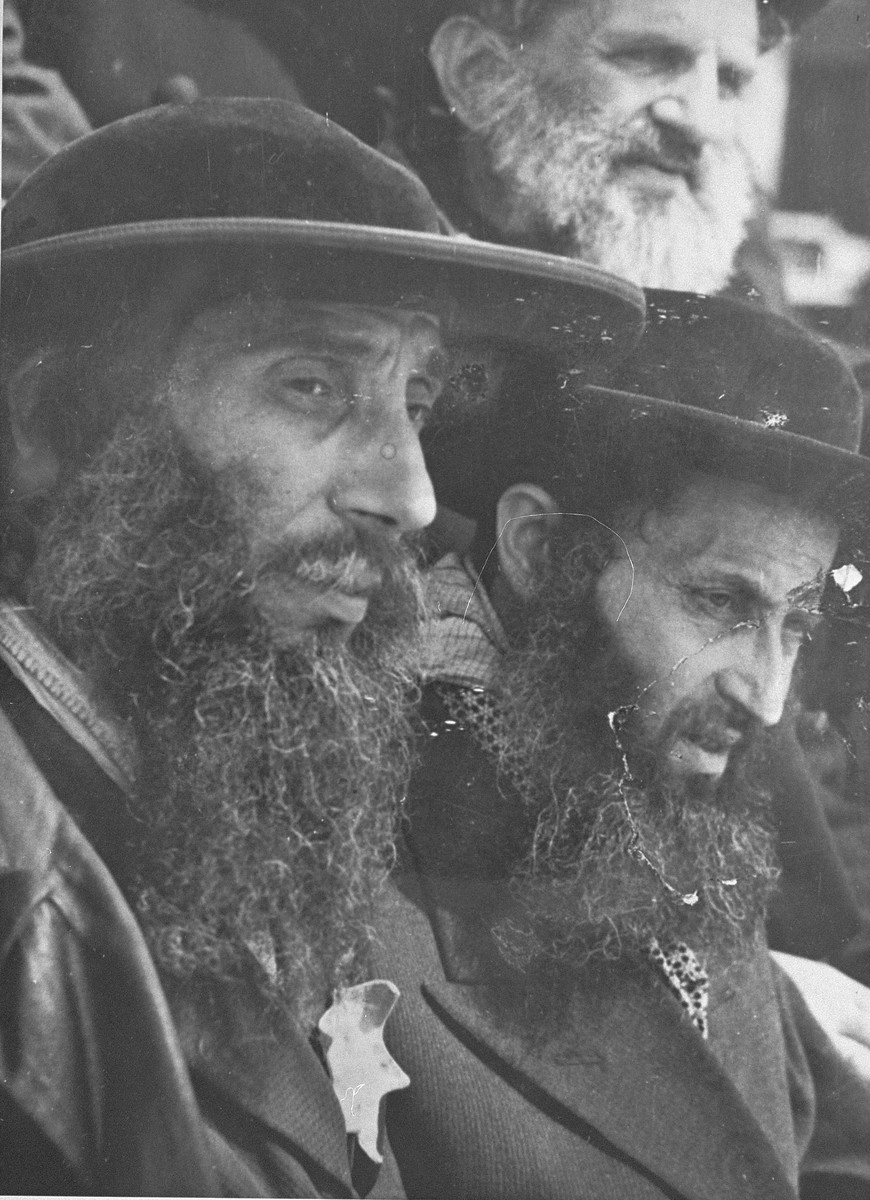 Religious Jewish men from Subcarpathian Rus await selection on the ramp at Auschwitz-Birkenau.

Pictured on the left is Rabbi Naftali Zvi Weiss from Bilki.