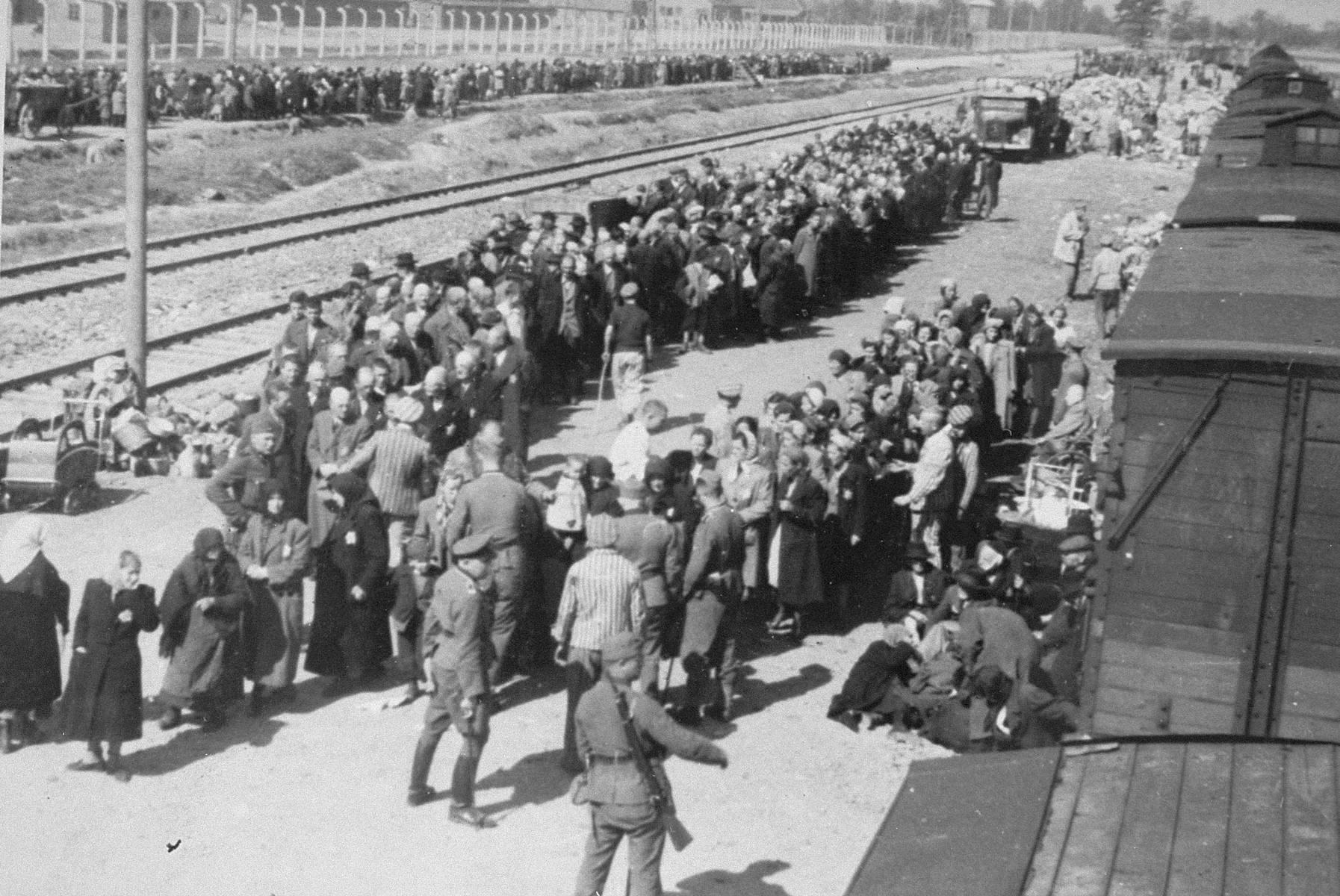 Jews from Subcarpathian Rus undergo a selection on the ramp at Auschwitz-Birkenau.

Pictured in front holding a riding crop may be either SS Unterscharfuehrer Wilhelm Emmerich or SS Haupsturmfuehrer Georg Hoecker assisted by the Jewish prisoner Hans Schorr.  Also pictured are Norbert Lopper and Irena Fogel (later Weiss) is pictured in the front second from left, facing forward. Pictured in the front right is Erszebet Klein Roth, her mother and aunt.

Additional individuals have been identified in the center of the photograph: Hinda Lazarowitz, Pepe Hershkowitz (Apperman), and Gittel (Gail) Hershkowitz (Brandwein).