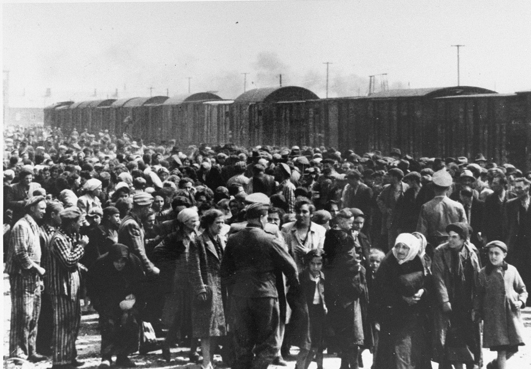 Selection of Jews from Subcarpathian Rus on the ramp at Auschwitz-Birkenau.  

Pictured second from the left, in a striped uniform is Eddy Wynschenk.

See hard copy of worksheet for further identifications.