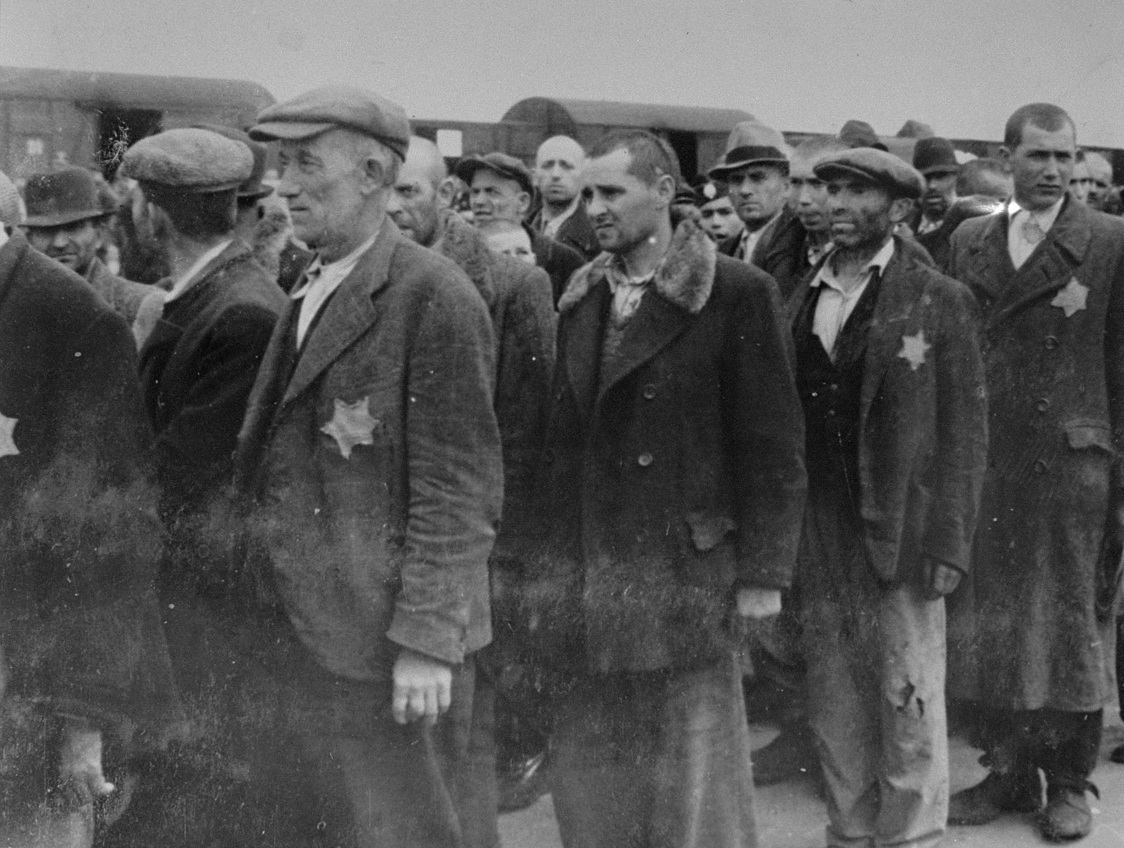 Jewish men from Subcarpathian Rus await selection on the ramp at Auschwitz-Birkenau.

Among those pictured is Chiam Elia Kreitenberg (back center in a cap, killed during High Holiday selections), his son Josef Jankelovits (Kreitenberg) immediately in front of him partially obscured, another son Mende (Moric) Jankelovits (Menachem Mendel, later Mike Kreitenberg), and his older son Yitzhak Jankelovits (Kreitenberg) who volunteered to work as a blacksmith and was never seen again.