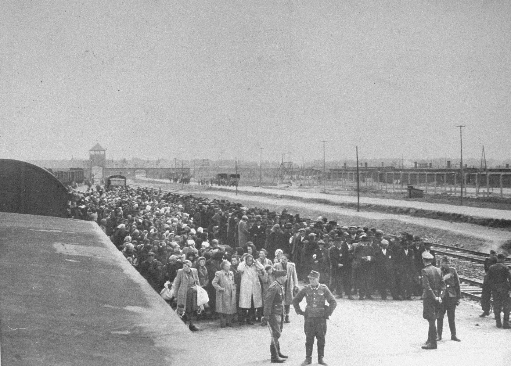 View from atop the train of Jews lined up for selection on the ramp at Auschwitz-Birkenau.

Rozi (nee Mueller) Bittman is standing in the front row, second from the left.  The SS officer in the center wearing a visor cap is Walter Schmidetzki.