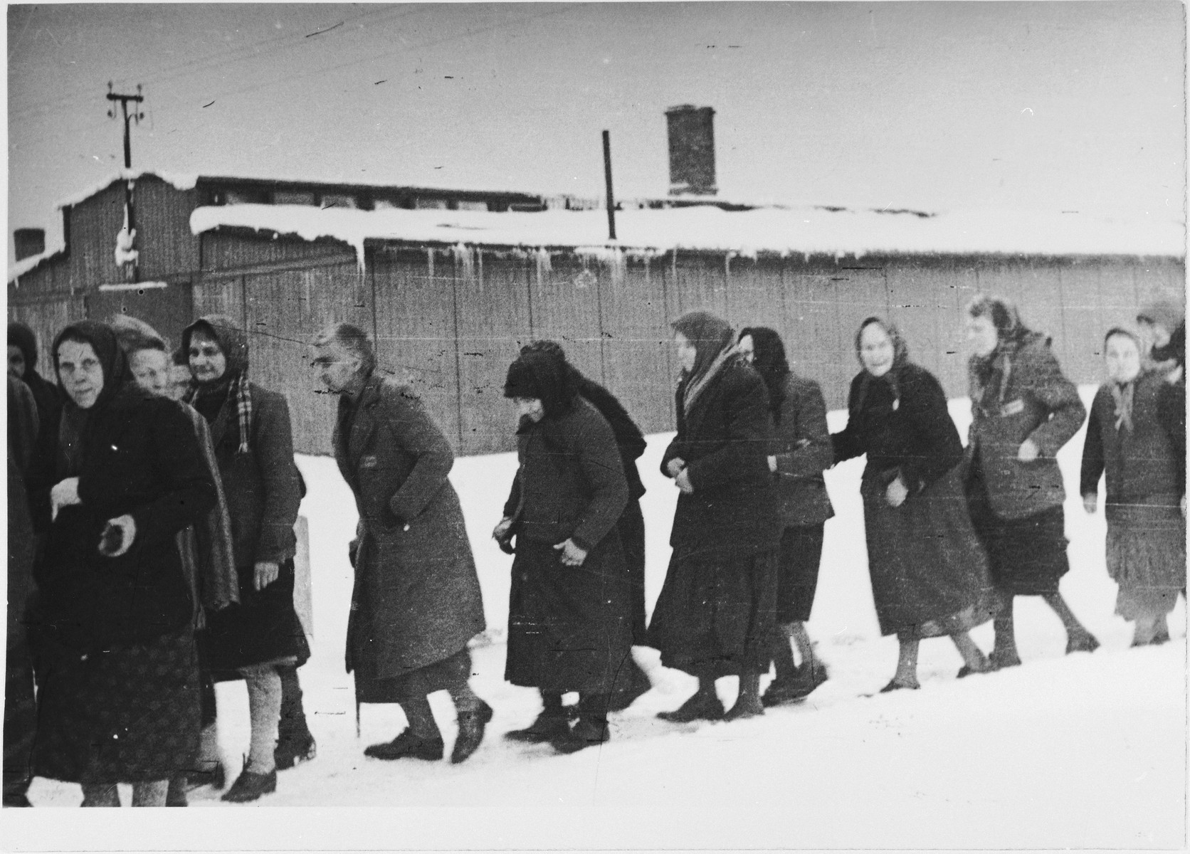 A group of female survivors trudge through the snow immediately after the liberation of Auschwitz-Birkenau.

Original caption:  "Those who survived.  Some were in the hospital, some hid before evacuation."