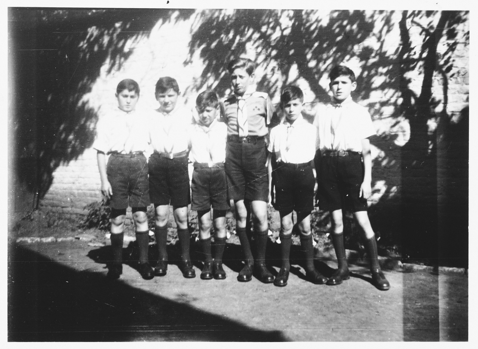 Group portrait of members of the Aryeh youth group at the Orphelinat Israelite de Bruxelles children's home of the rue des Patriotes.

Among those pictured are: Henri, Walter Mendler, Joseph Birnbaum, Joseph Amsel and David.