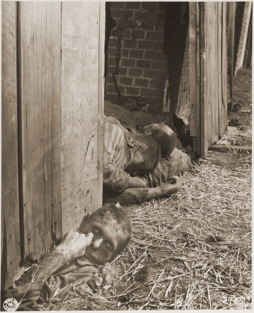 The corpses of prisoners shot by the SS lie in the doorway of a barn just outside of Gardelegen.
