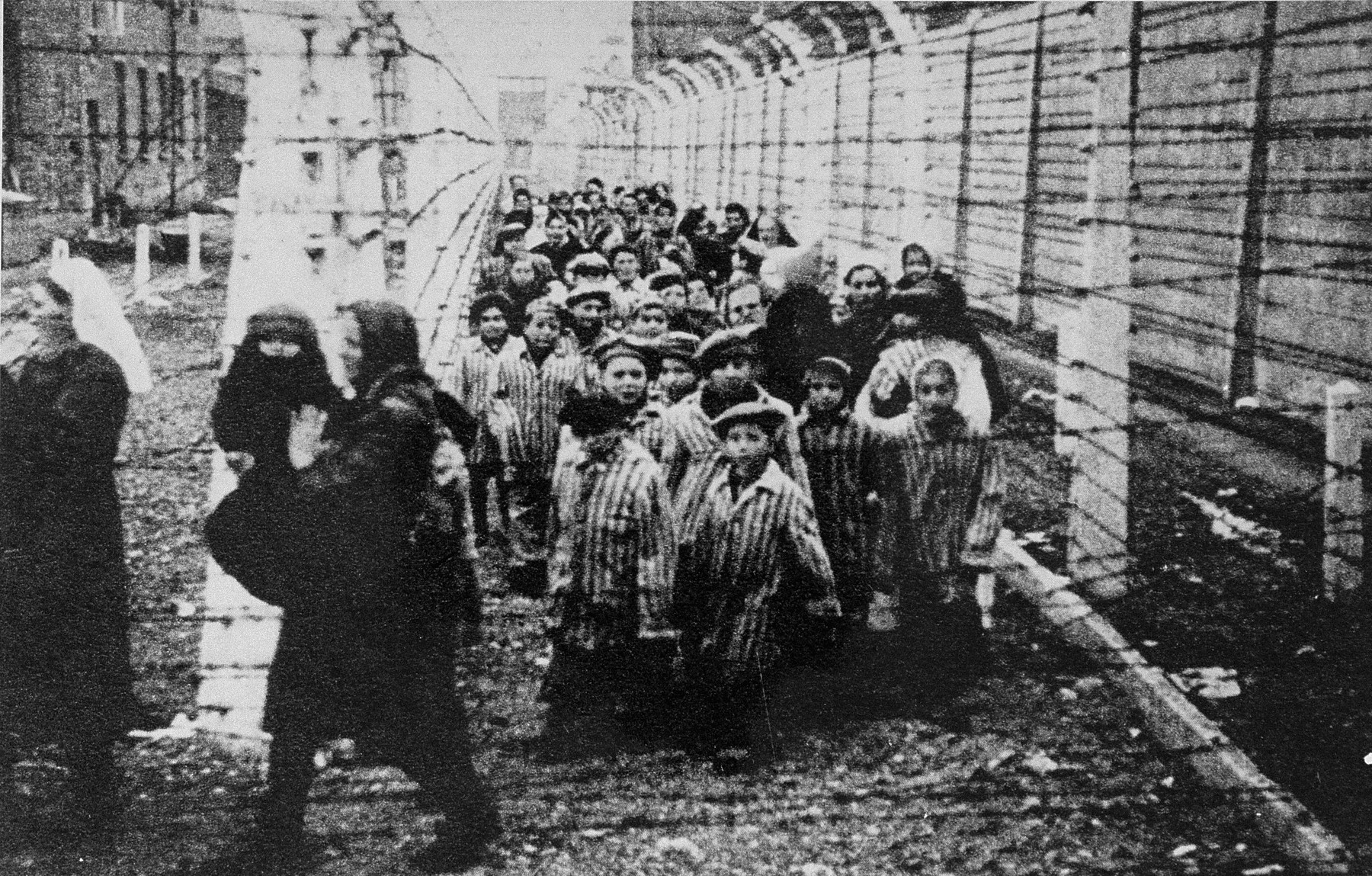 Wearing adult-size prisoner jackets, child survivors of Auschwitz are led by relief workers and Soviet soldiers through a narrow passage between two barbed-wire fences.

STILL PHOTOGRAPH FROM THE SOVIET FILM of the liberation of Auschwitz, taken by the film unit of the First Ukrainian Front.