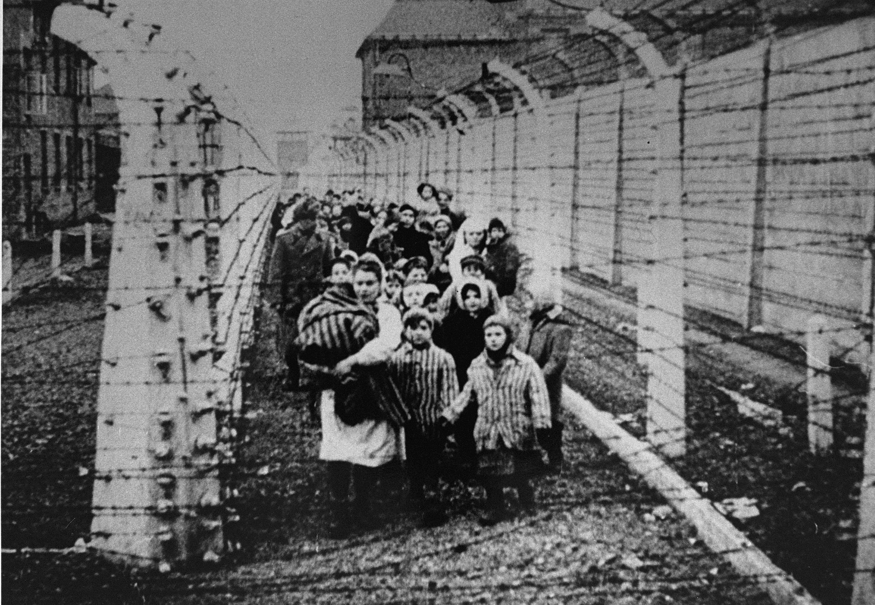 Wearing adult-size prisoner jackets, child survivors of Auschwitz are led by relief workers and Soviet soldiers through a narrow passage between two barbed-wire fences.

Eva Mozes is standing next to the nurse.  Holding her hand is her twin sister Miriam. Behind them in white pointed hats are Judy and Lea Csenghery,

STILL PHOTOGRAPH FROM THE SOVIET FILM of the liberation of Auschwitz, taken by the film unit of the First Ukrainian Front.