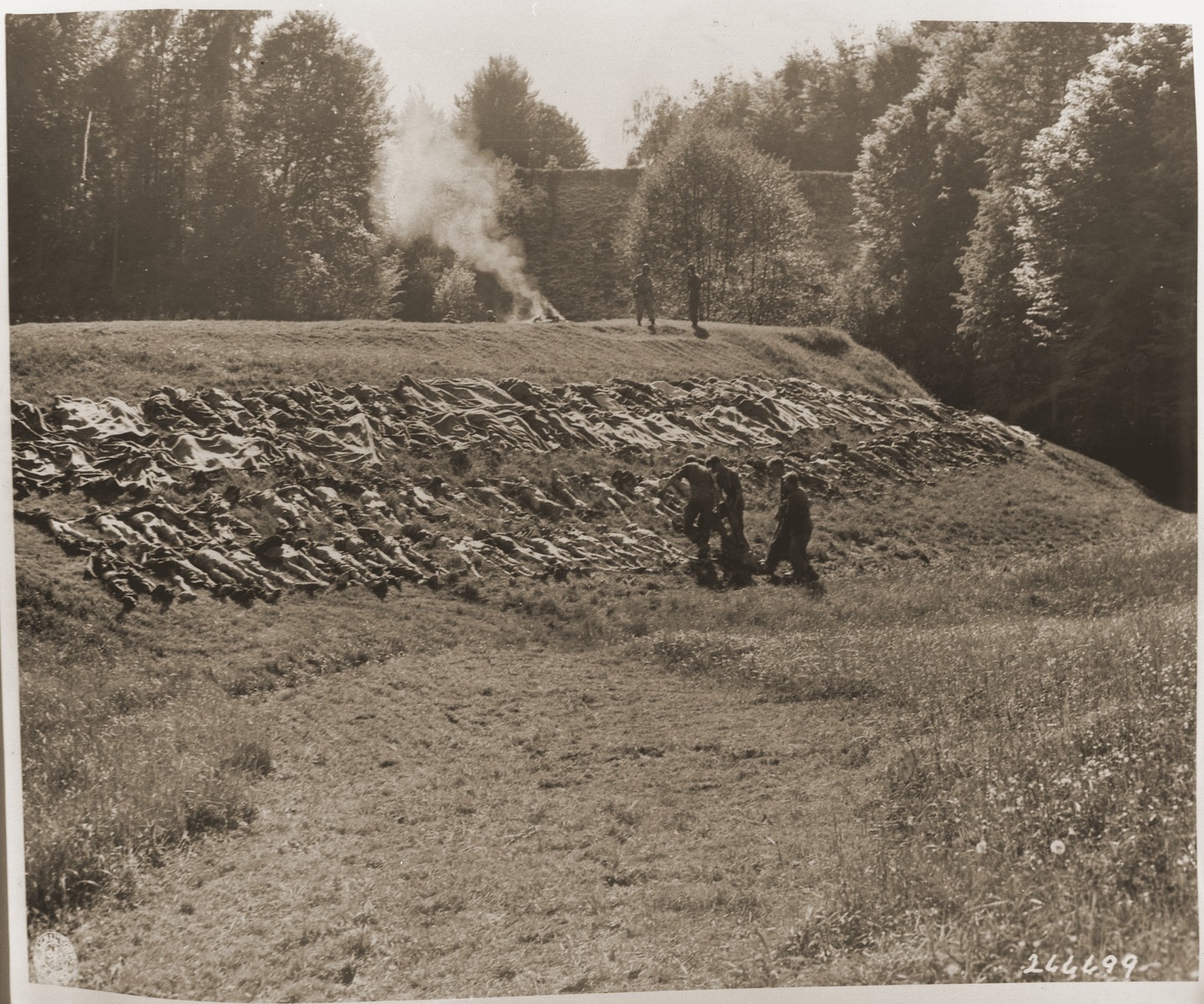Bodies exhumed from a mass grave near the town of Nammering are laid out on a hillside.
