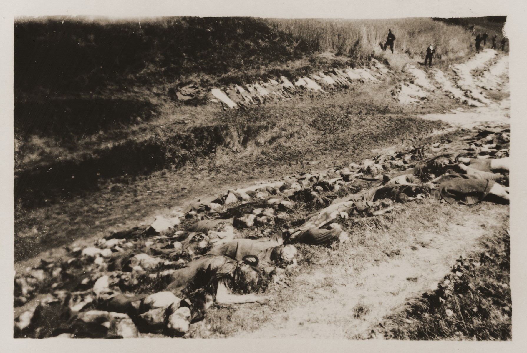 The corpses of prisoners exhumed from a mass grave line the sides of a ravine near the town of Nammering.  German civilians were forced to visit the site by U.S. troops.