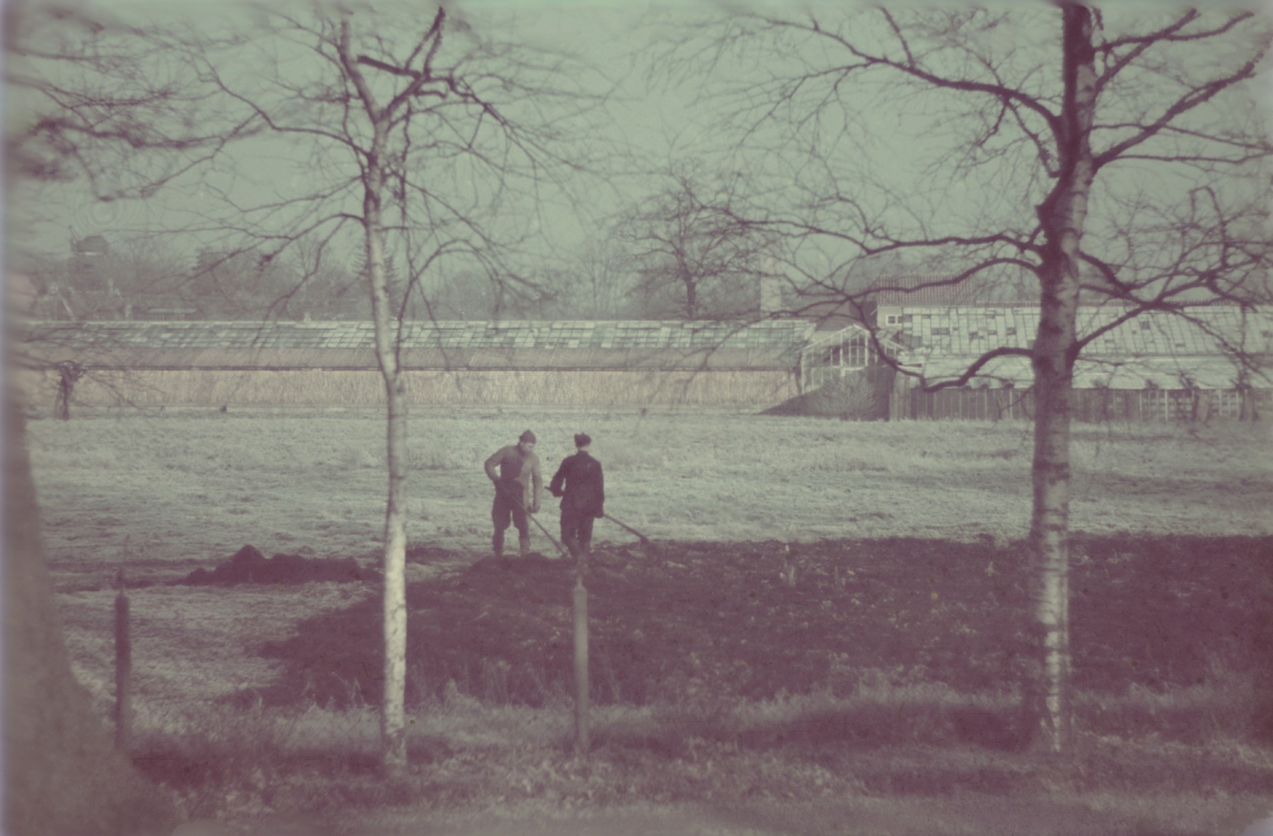 Fecalists dispose of sewage in an open field in the Lodz ghetto.