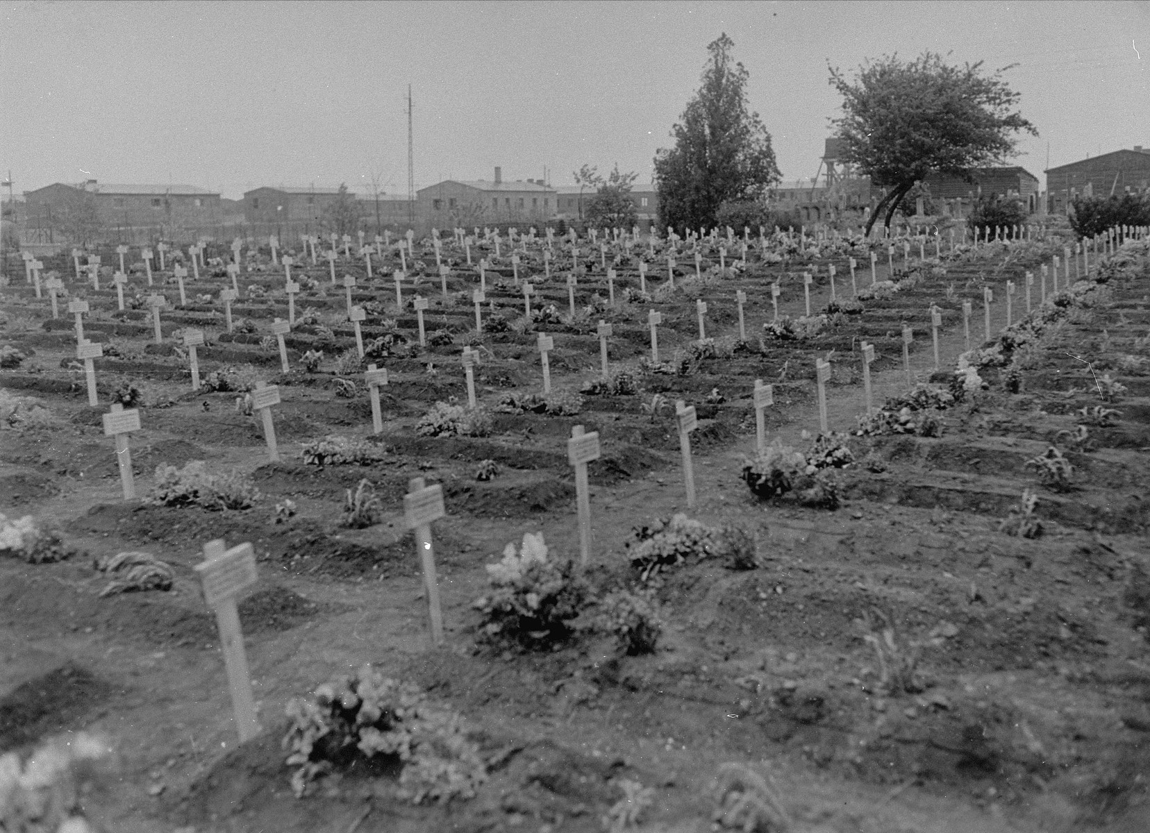 View of a cemetery with wooden grave markers at Ploemnitz ("Leau" after 10 October 1944), a sub-camp of Buchenwald.